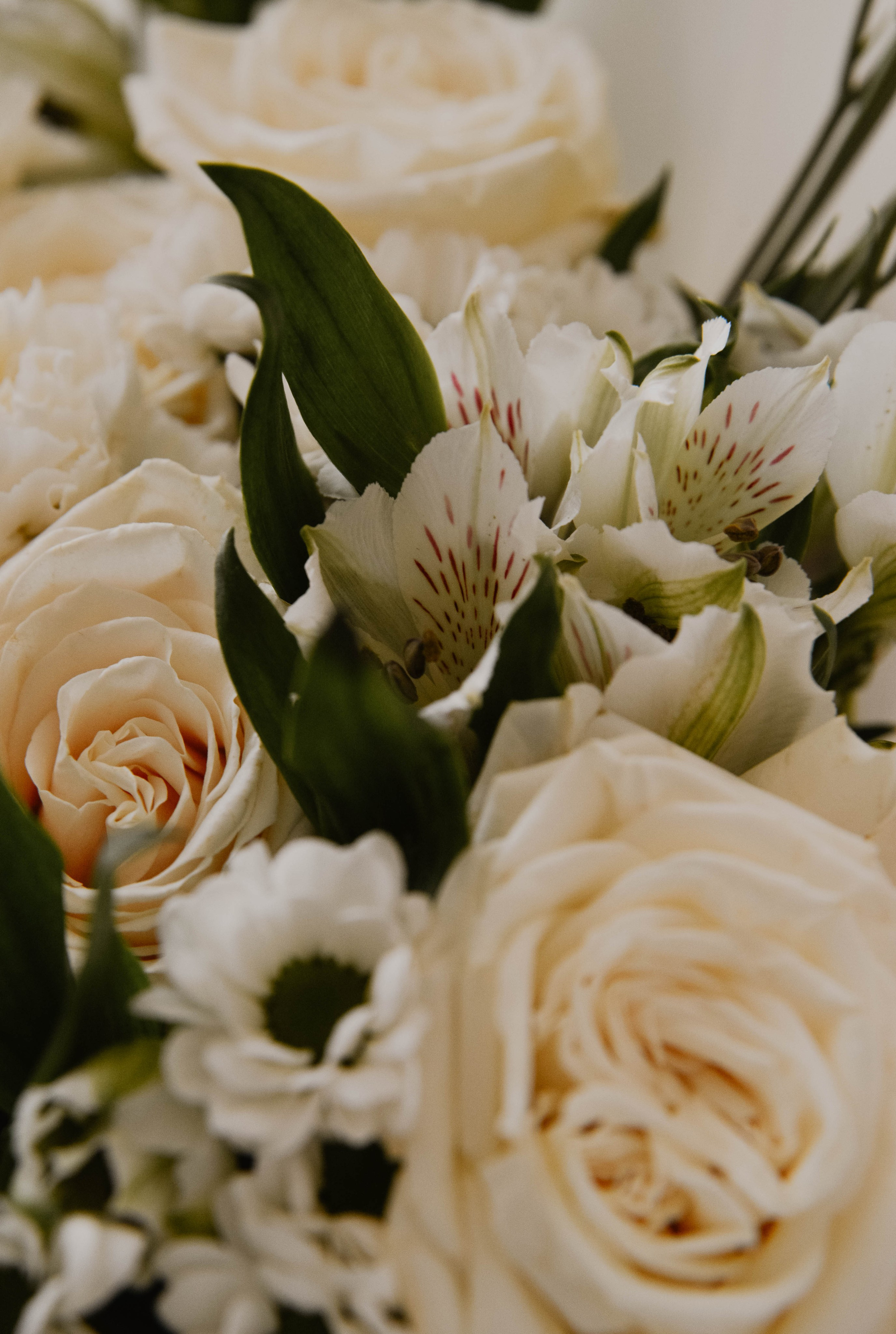 Дарья & Алексей. Ксения Glossa. Портретный и репортажный фотограф в Самаре