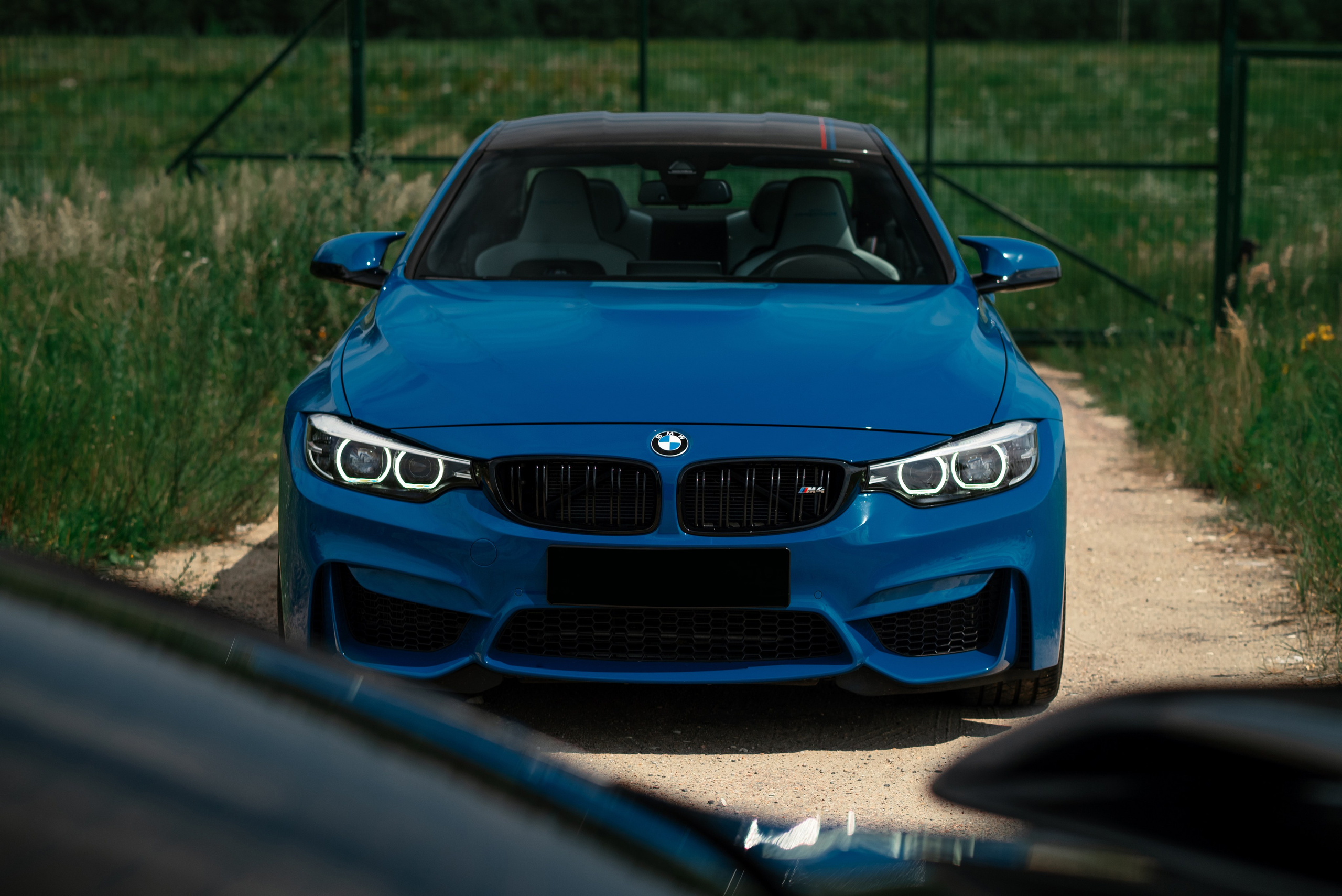 Bmw M4 Heritage Edition 1/750. DeLorein