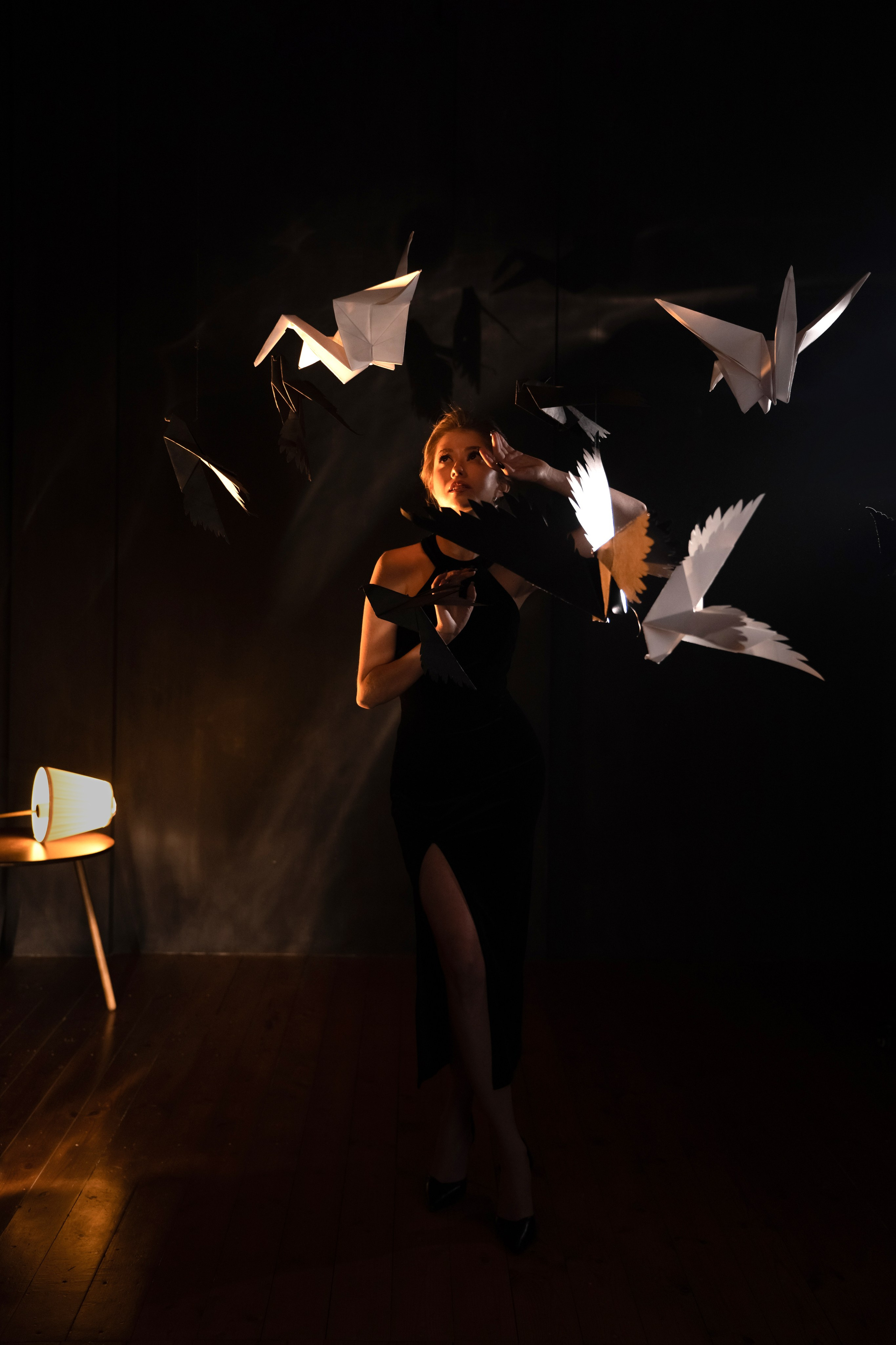 Анастасия (оммаж «Птицы»). Главная