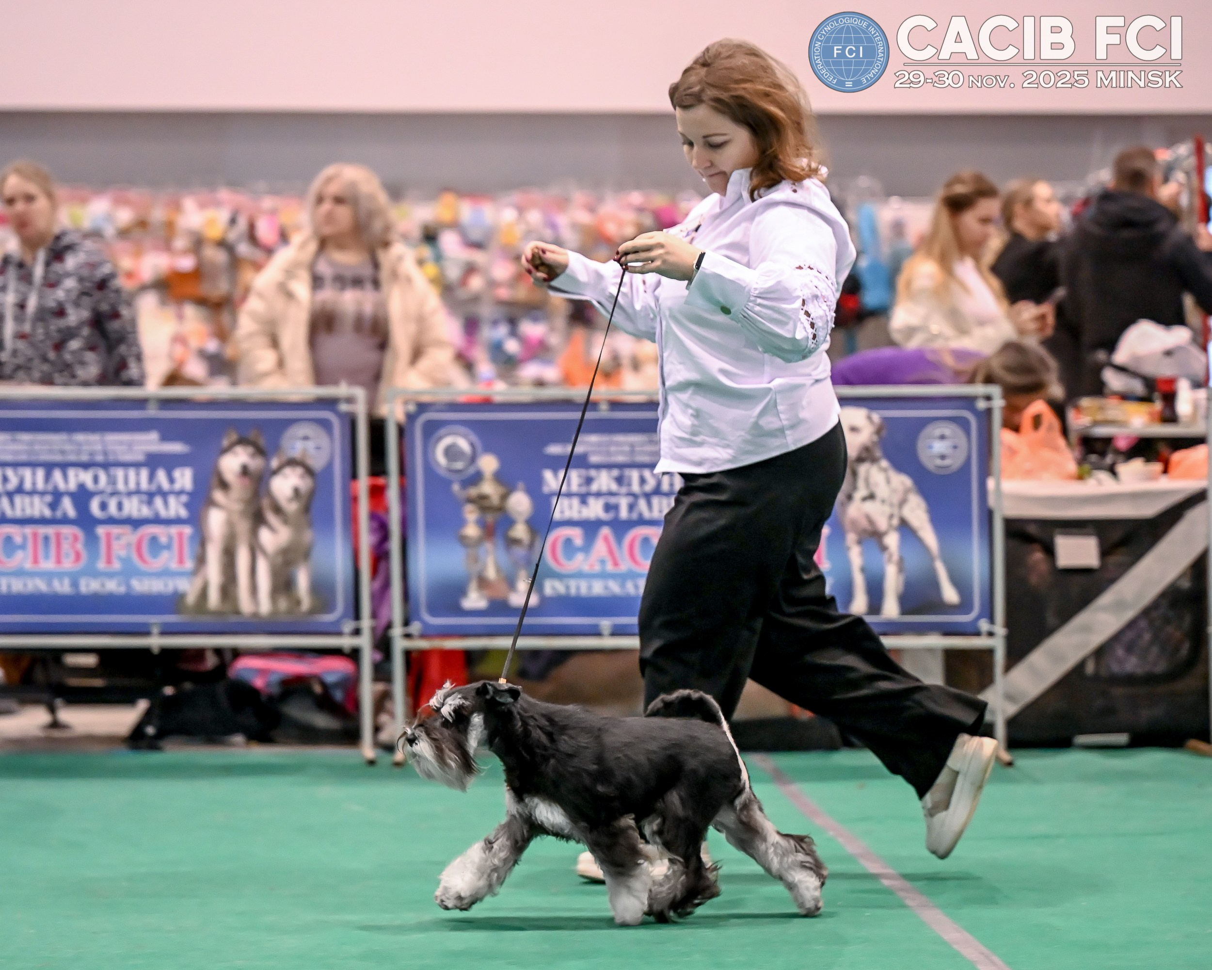 DELINSO BALANCE CZESARIA ZARI (Li Mu Zi Chinese Dragon x Delinso Balance Emiko Akemi) 