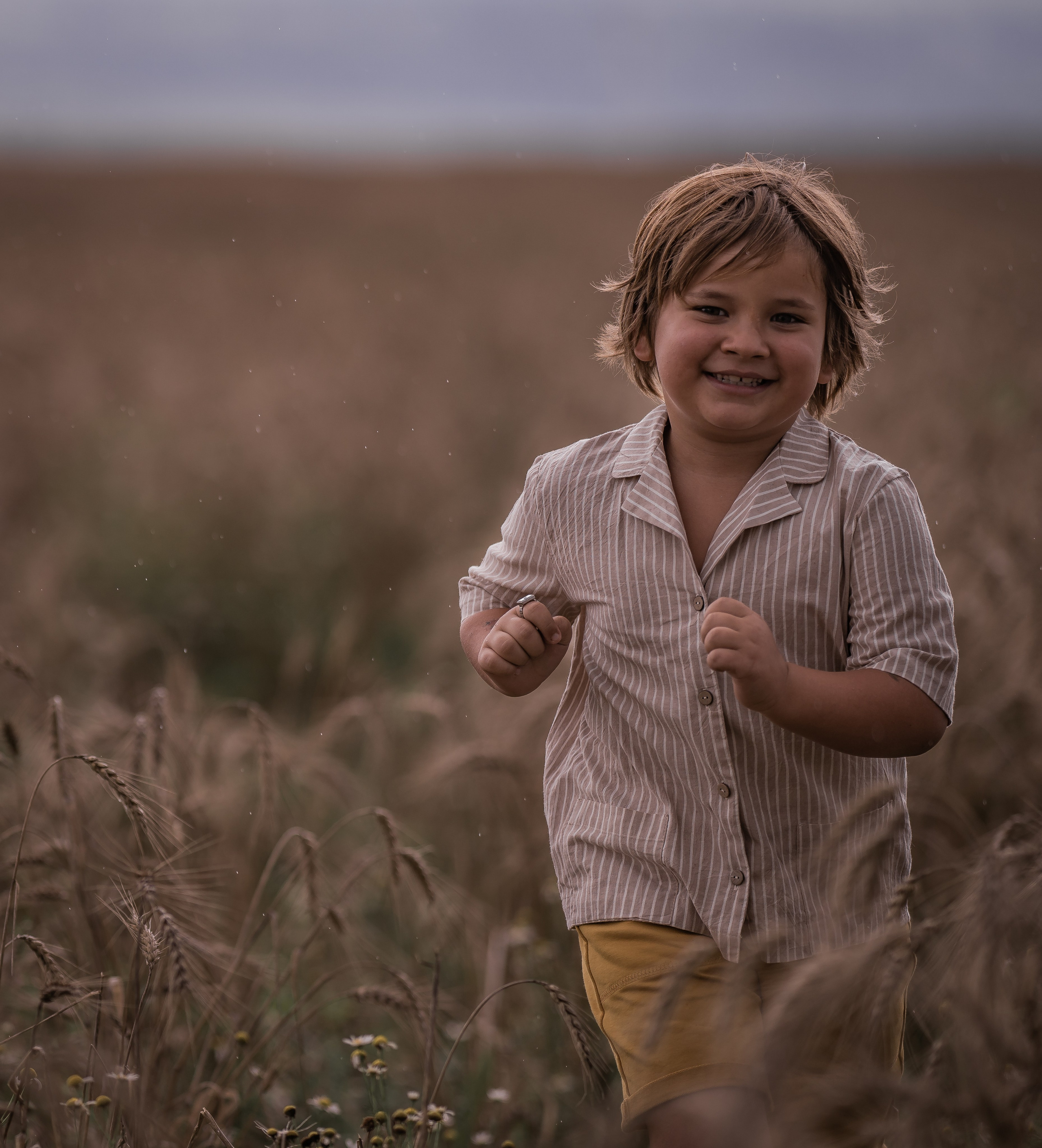 Пшеничное поле, август. Семейный фотограф Ефремова Виктория