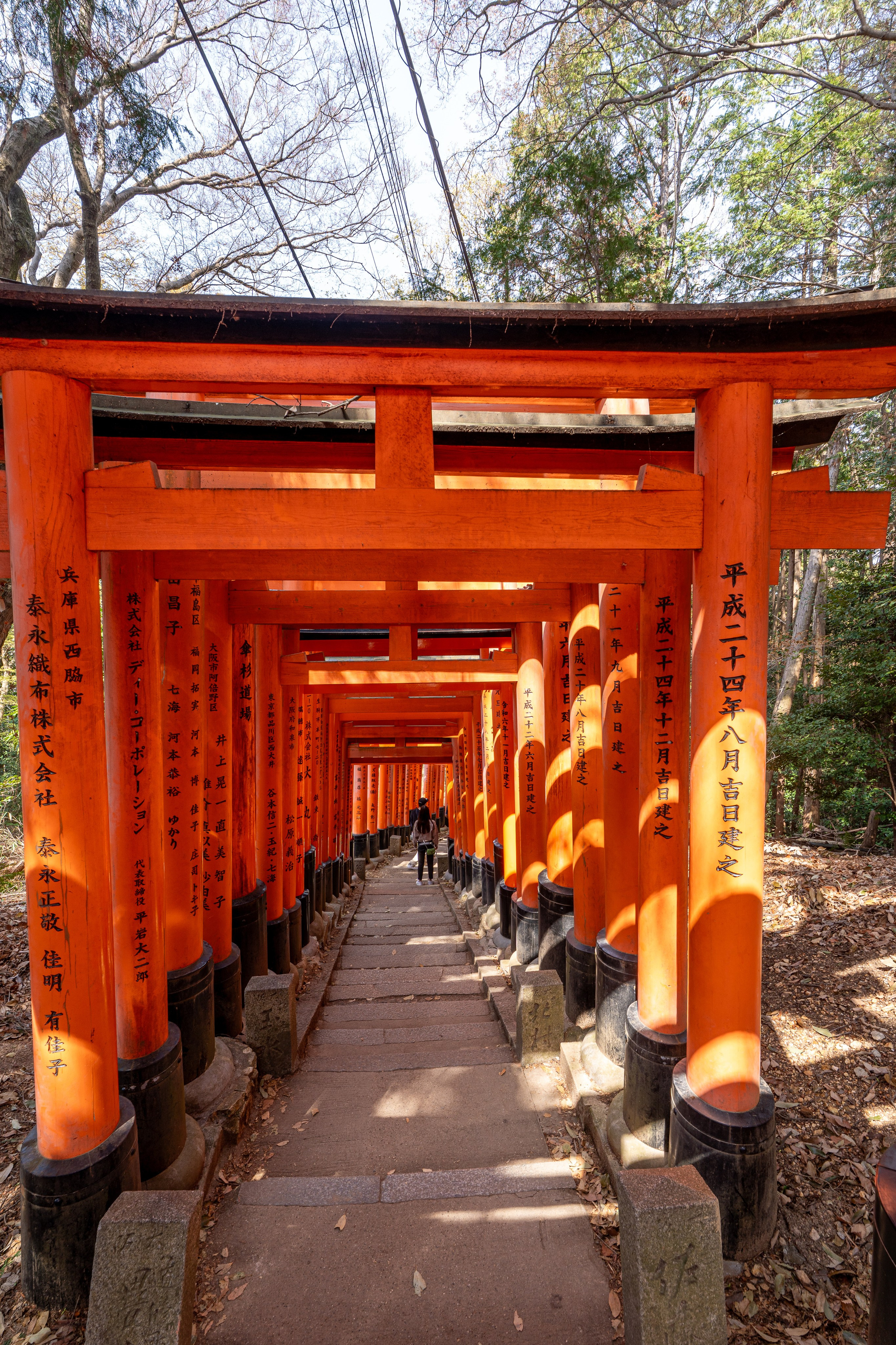 Япония, сакура. Творческие сьемки