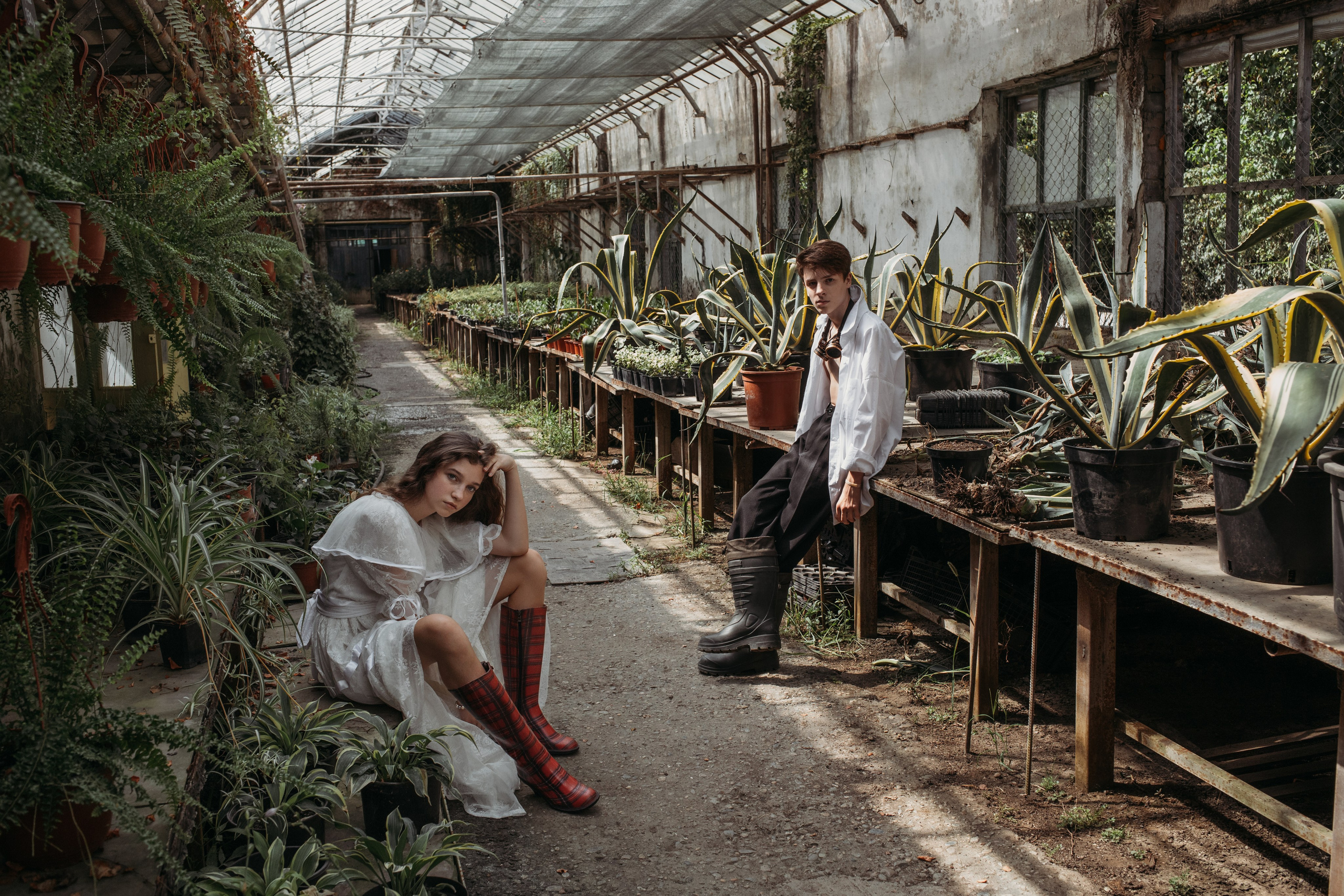 Оранжерея. Репортажный фотограф в Сочи Екатерина Вежливцева