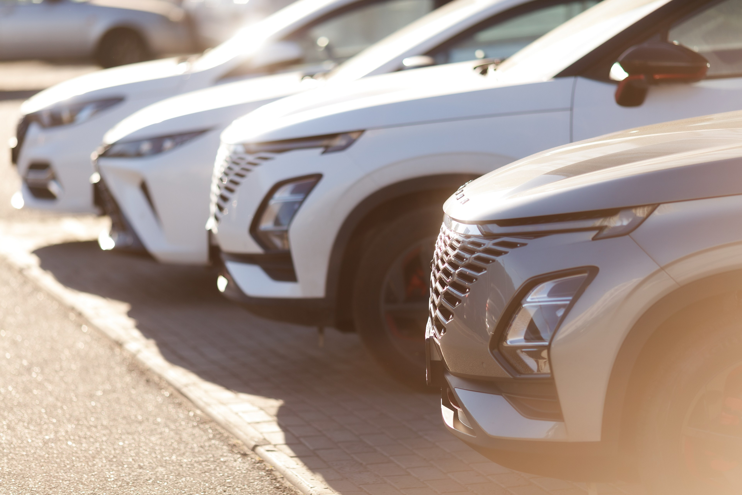 Репортаж. Профессиональный фотограф Амир Закиров