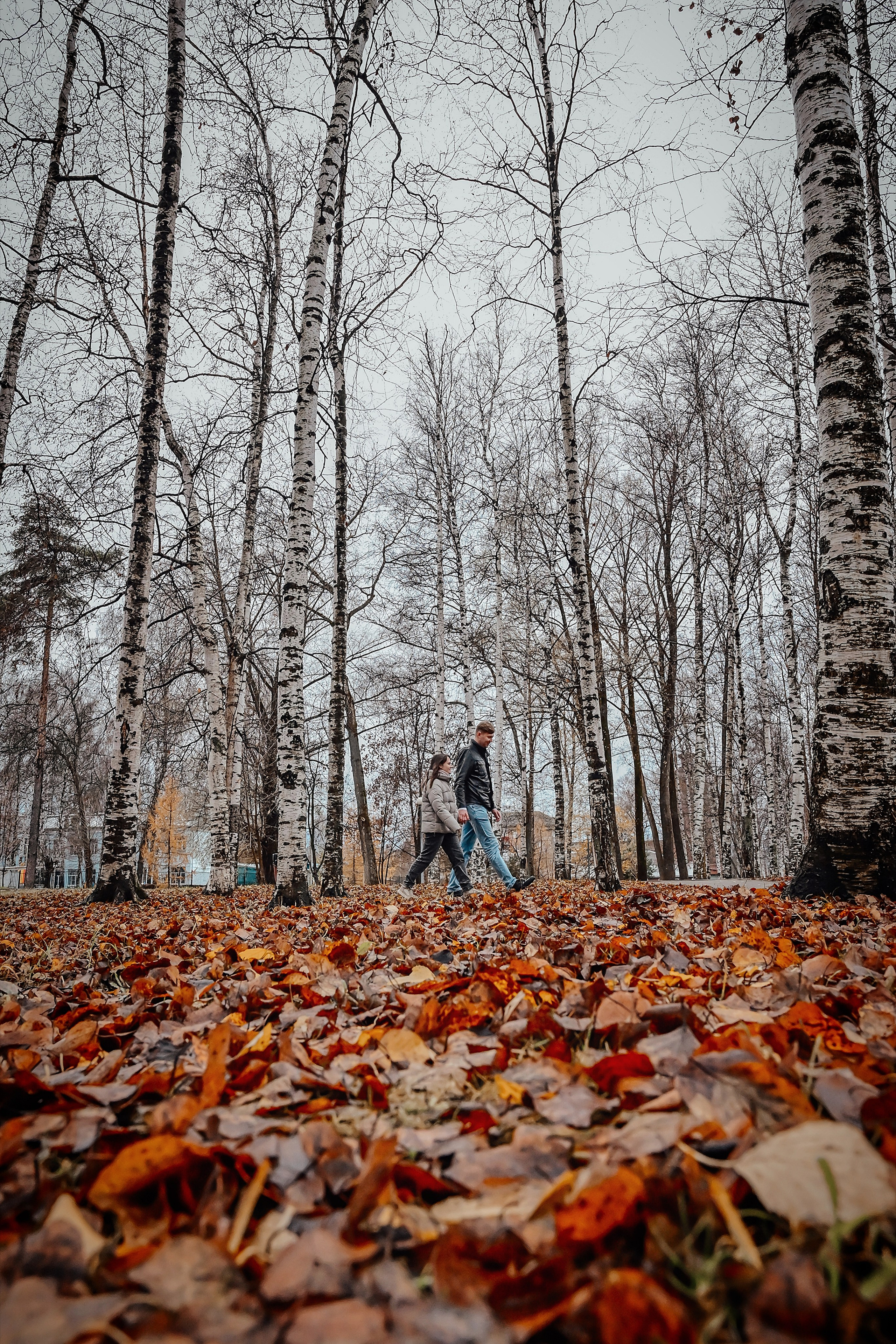 Марина и Сергей. Фотограф в Ярославле Владимир Летуновский