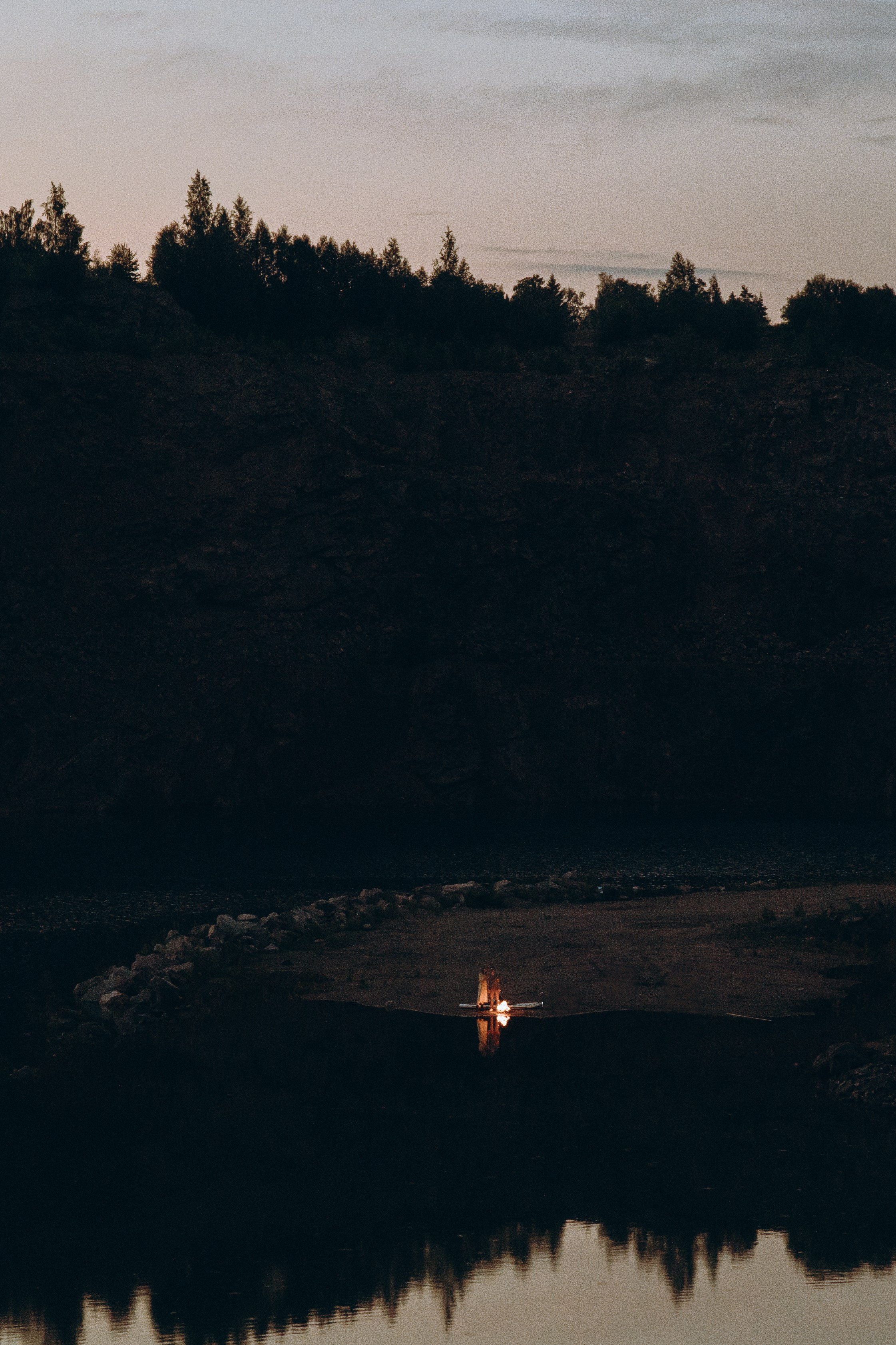 Fearless cats. Wed Photographers 📷 Saint Petersburg