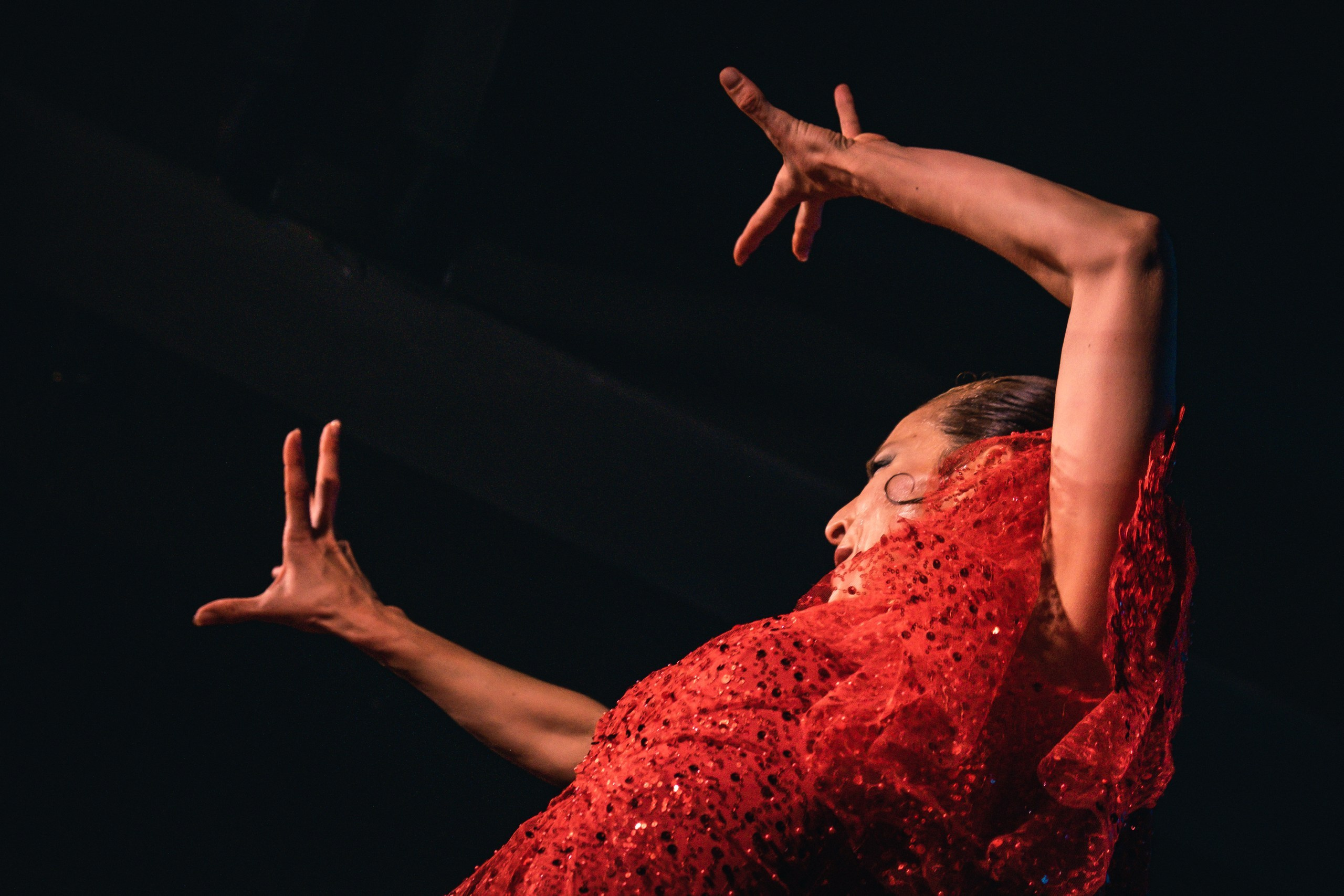 Flamenco 07.04.2024. Индивидуальные съемки, портретный фотограф