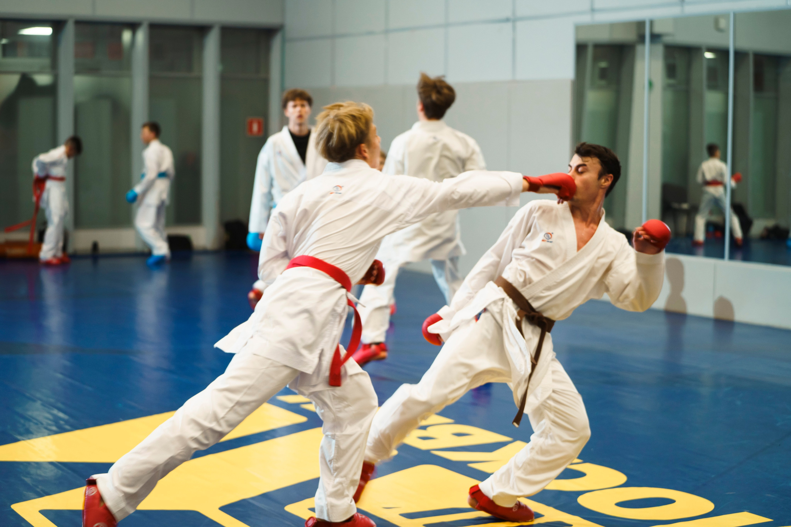 Самбо Боевое. Профессиональный портретный фотограф в Москве Владимир Глаголев