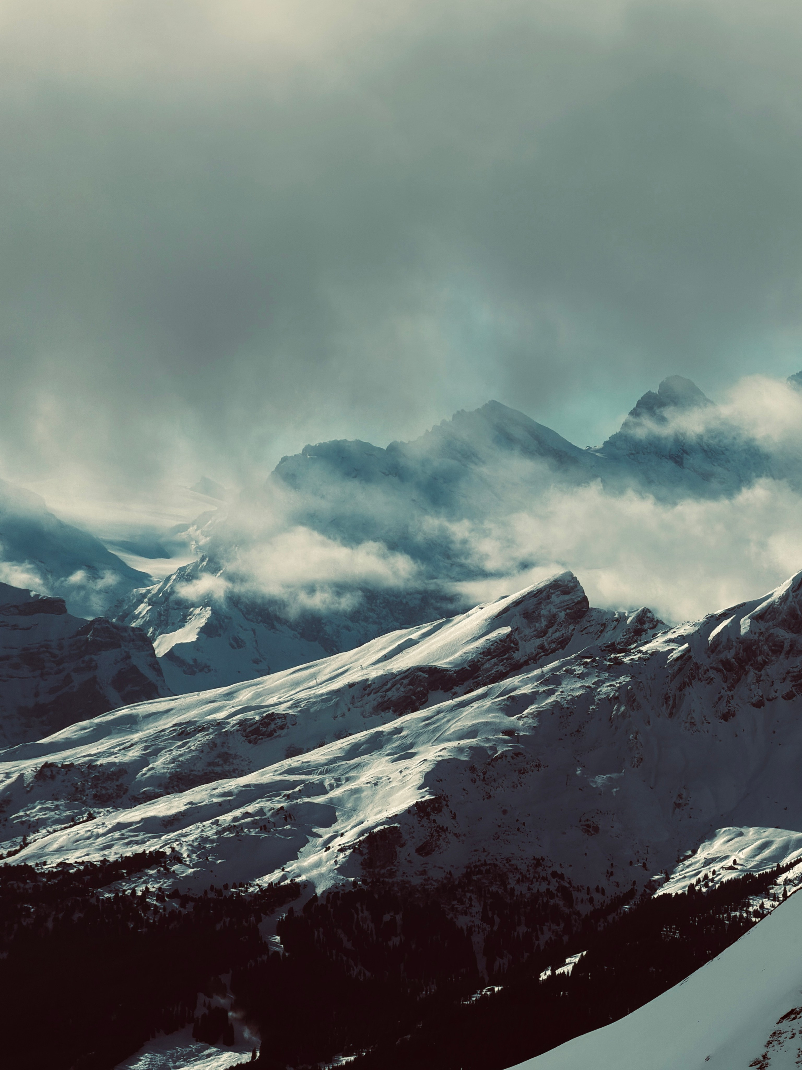 Grindelwald. Фотограф в Москве