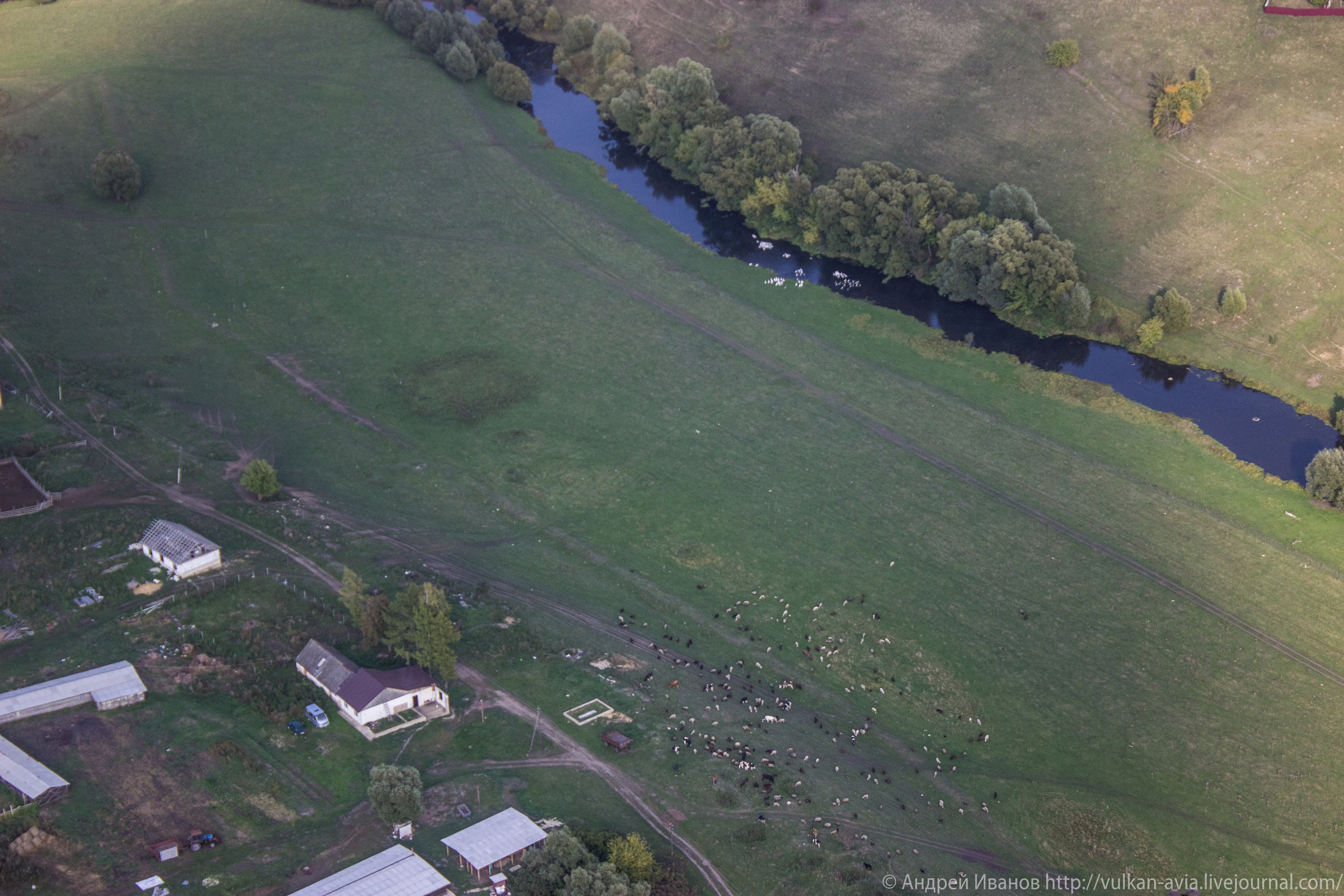 Волгодонск аэр. Потапов слёт «Небо для всех» (2021 г.). Фотоальбом показывающий увлекательный мир авиации и мир медведей Андрея Иванова