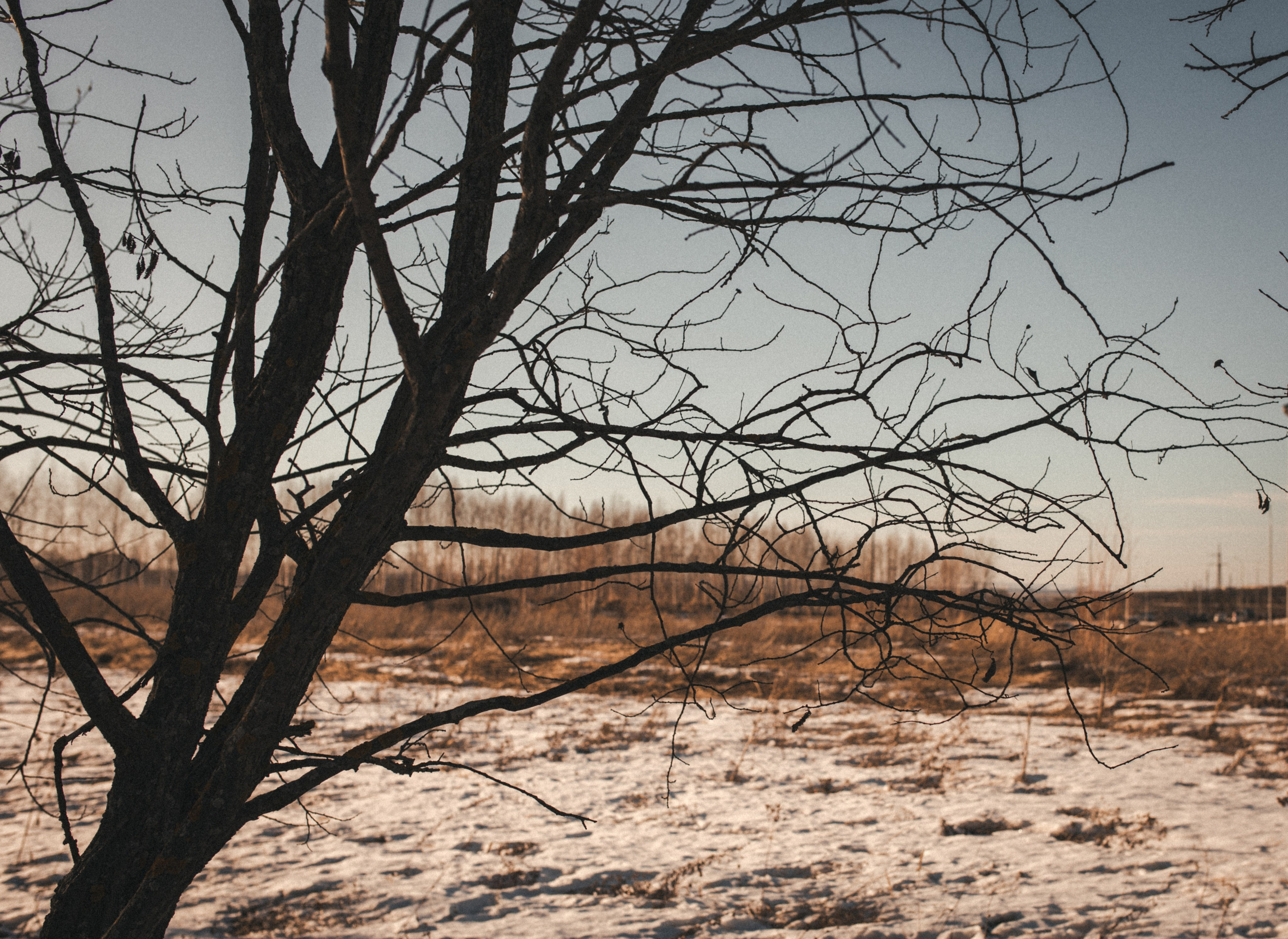 Маленький фотограф. Фотограф Юлия Хакимова / Казань/ Чистополь