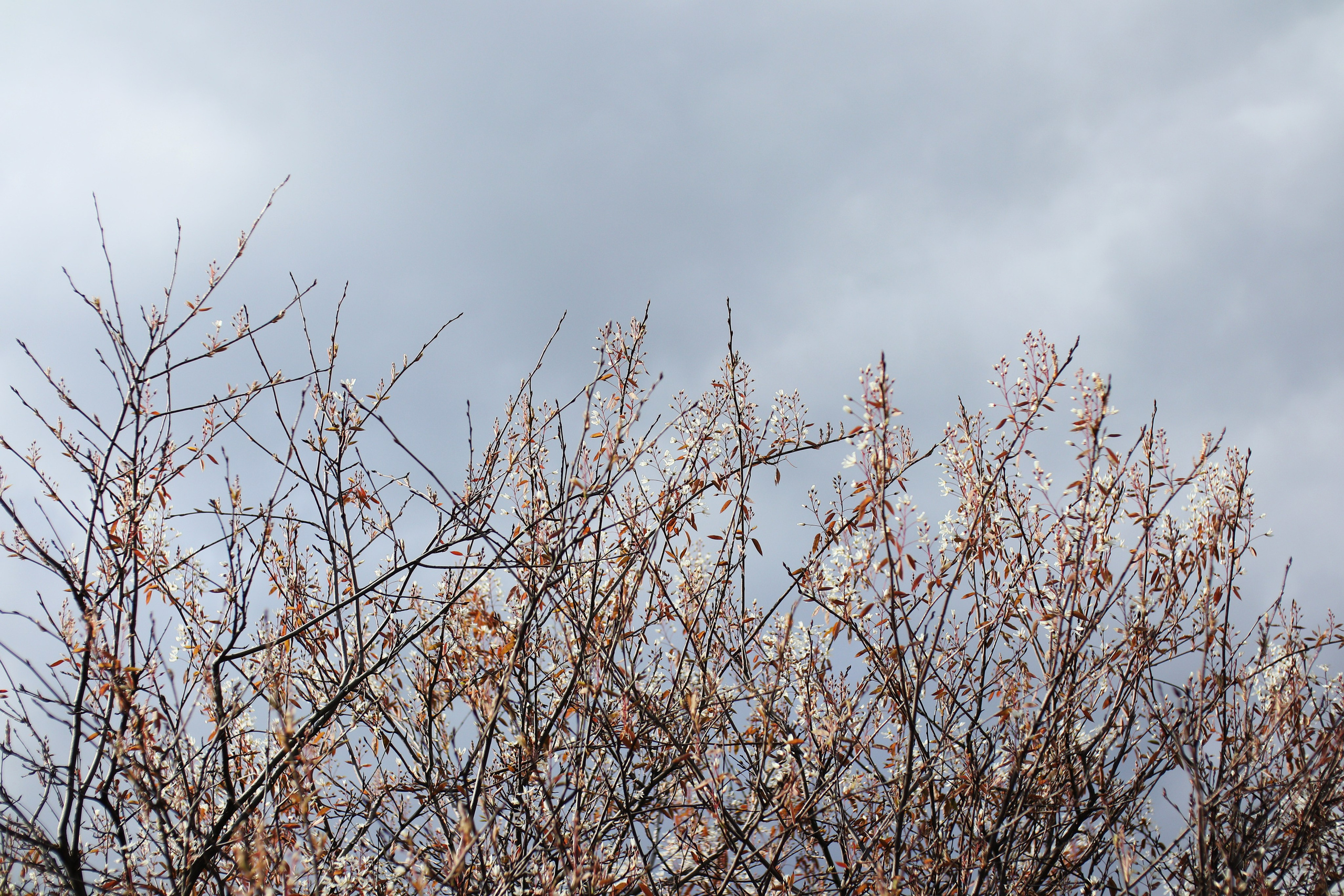 Фотодневник: в цвете. Фотограф Д. Куценков