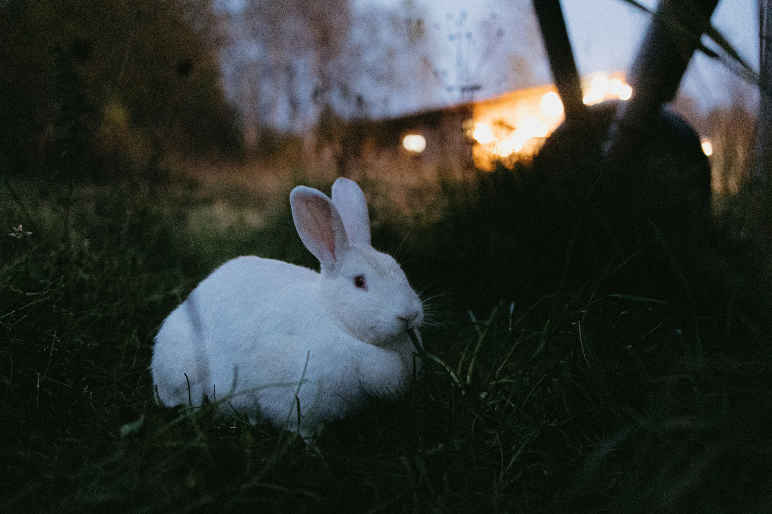 Новые земли. Про любовь