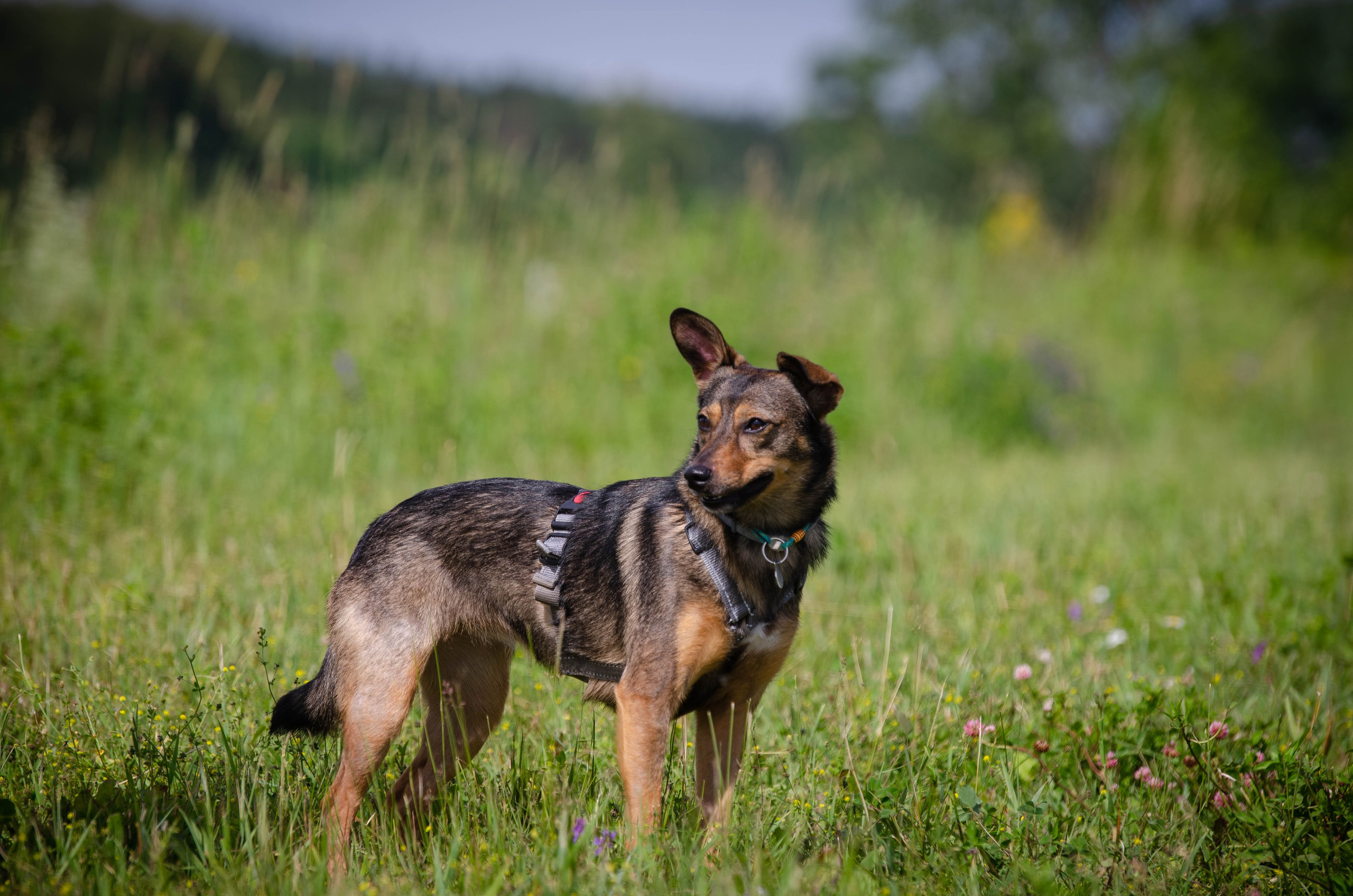 Прогулка (Лохин остров). Фотограф Светлана Блинова, Москва и Московская область
