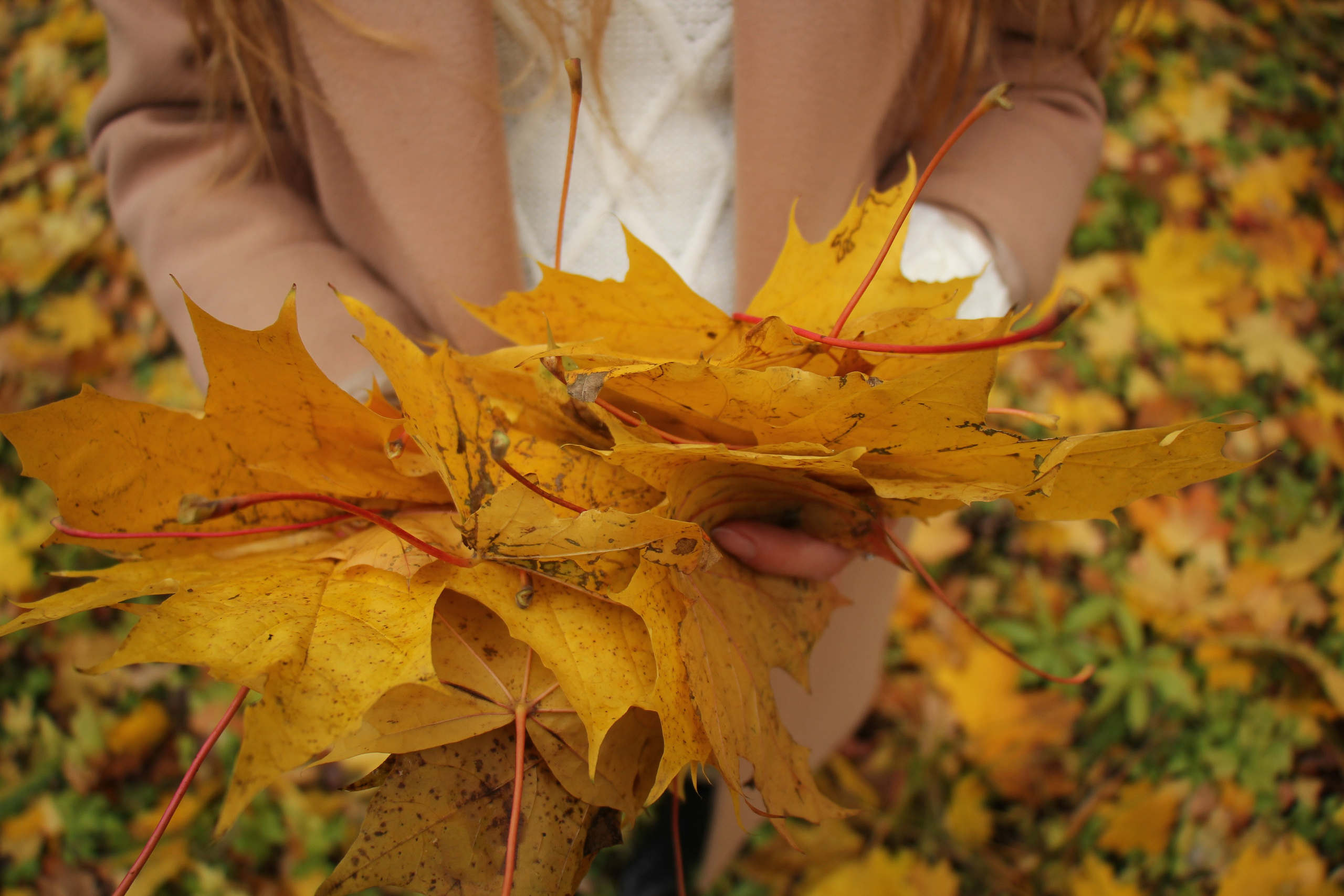 Беременность. Портретный фотограф Москва