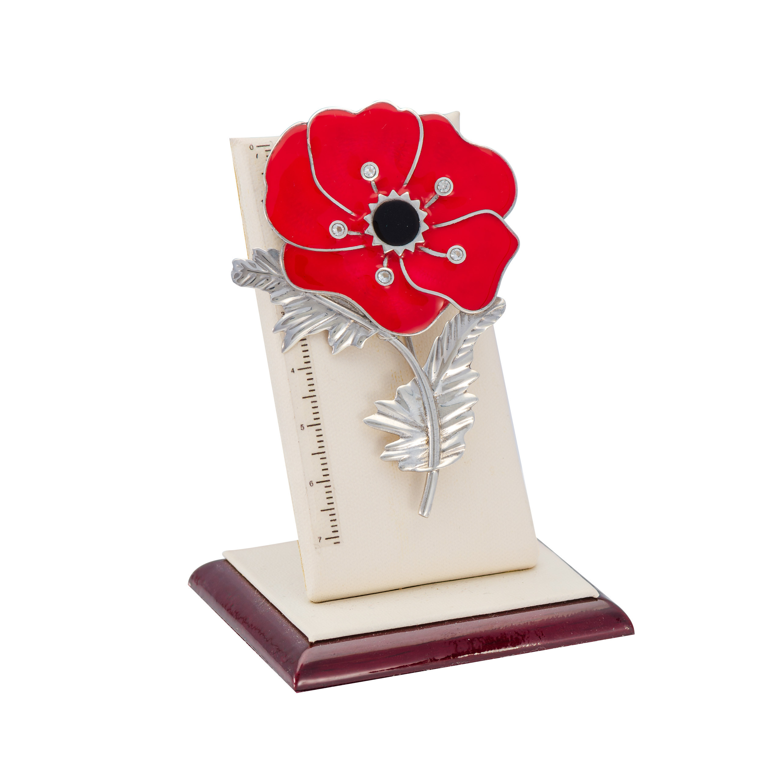 Однокадровая съемка украшений. Фотограф-дизайнер Лейла Кабди