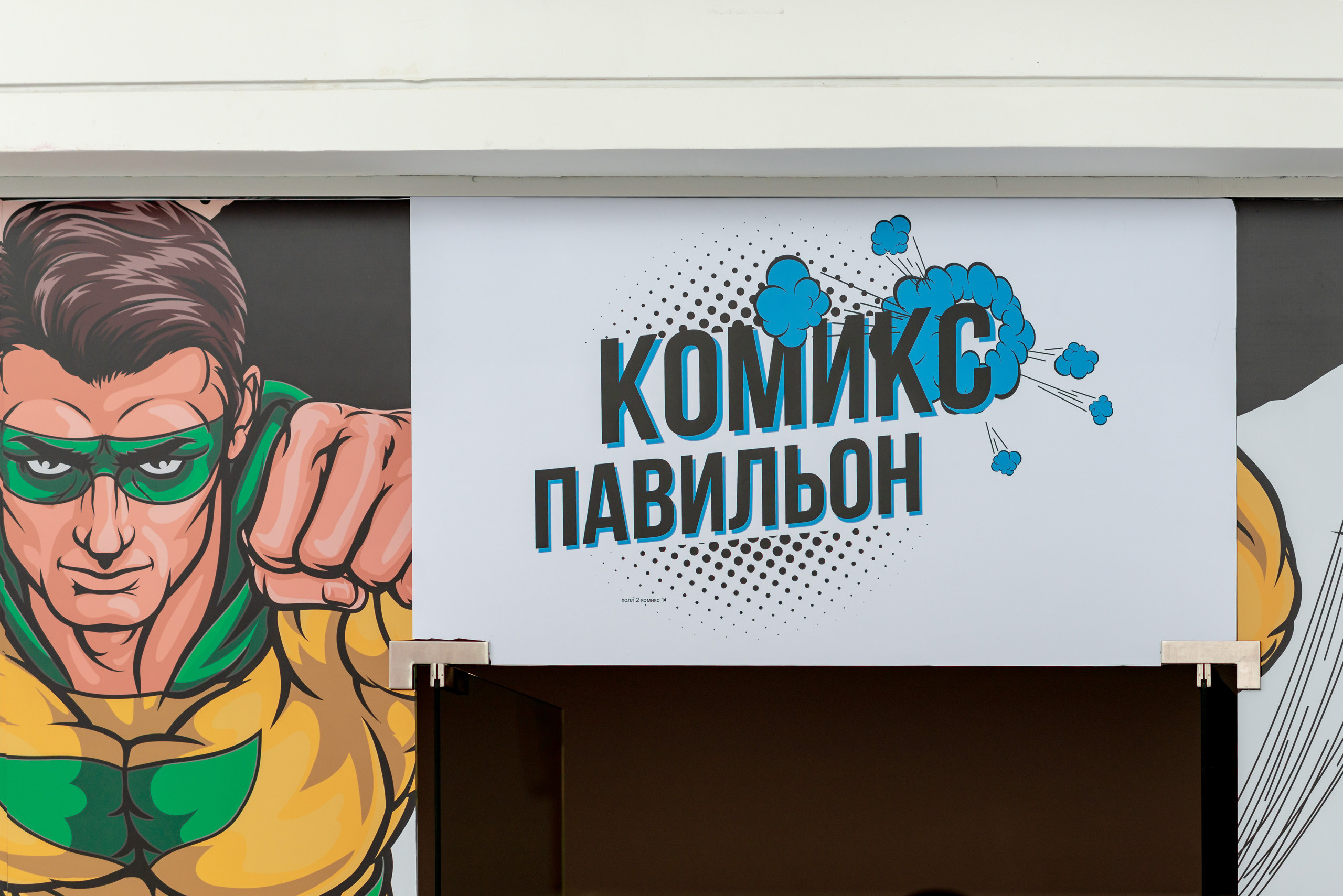 Репортажная съемка фестиваля COMIC CON. Фотограф-дизайнер Лейла Кабди