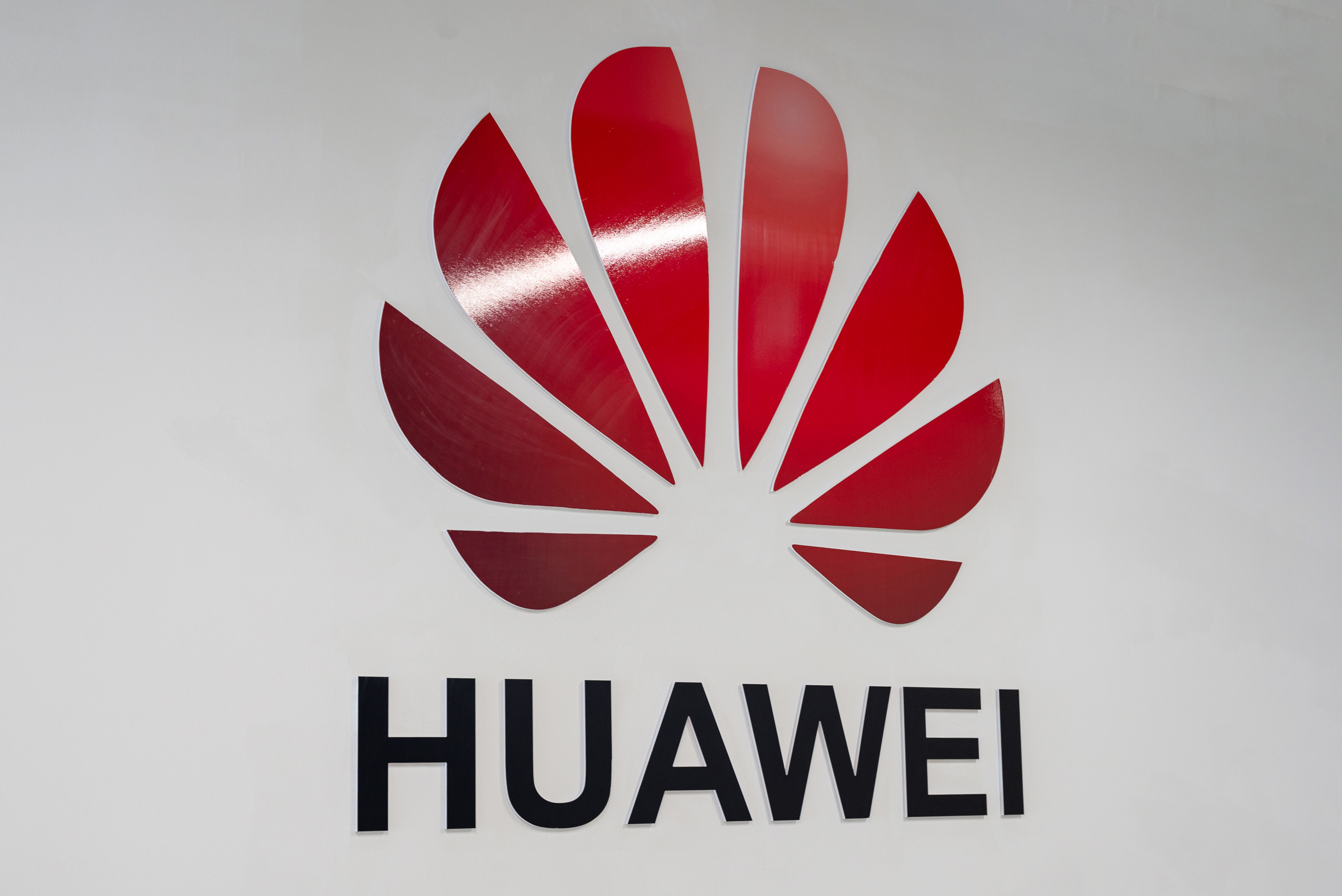 Презентационная съемка IT UNIVERCITY. Фотограф-дизайнер Лейла Кабди