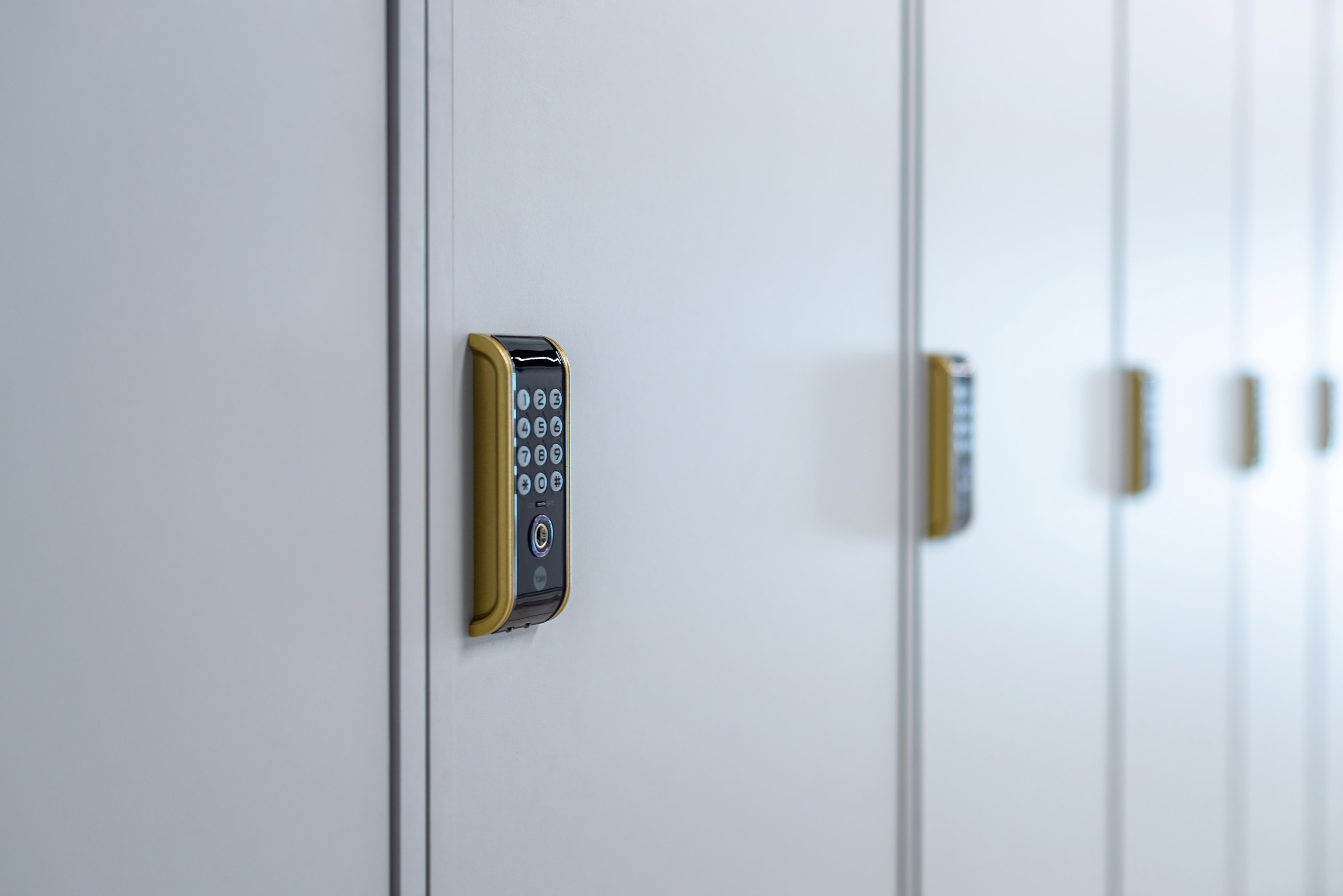 Презентационная съемка IT UNIVERCITY. Фотограф-дизайнер Лейла Кабди