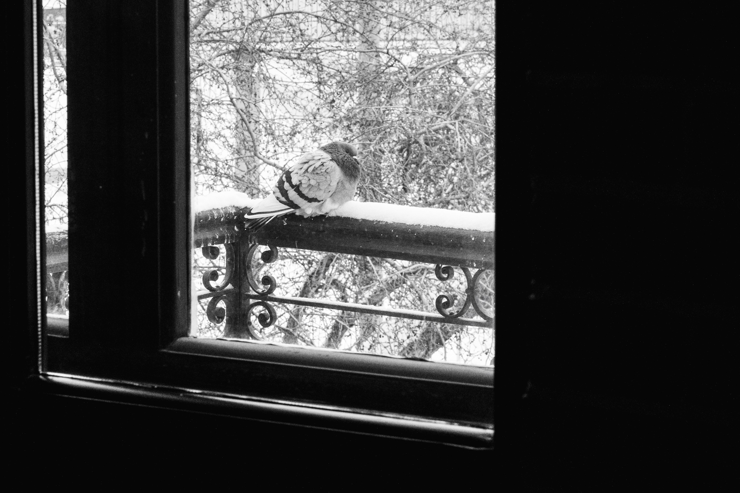 A | I. Свадебный и семейный фотограф в Новосибирске Светлана Варутина