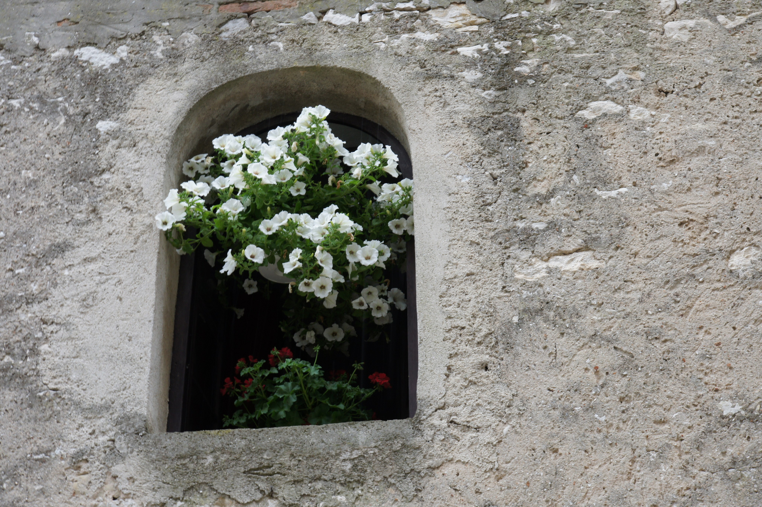 Хорватия. Главная