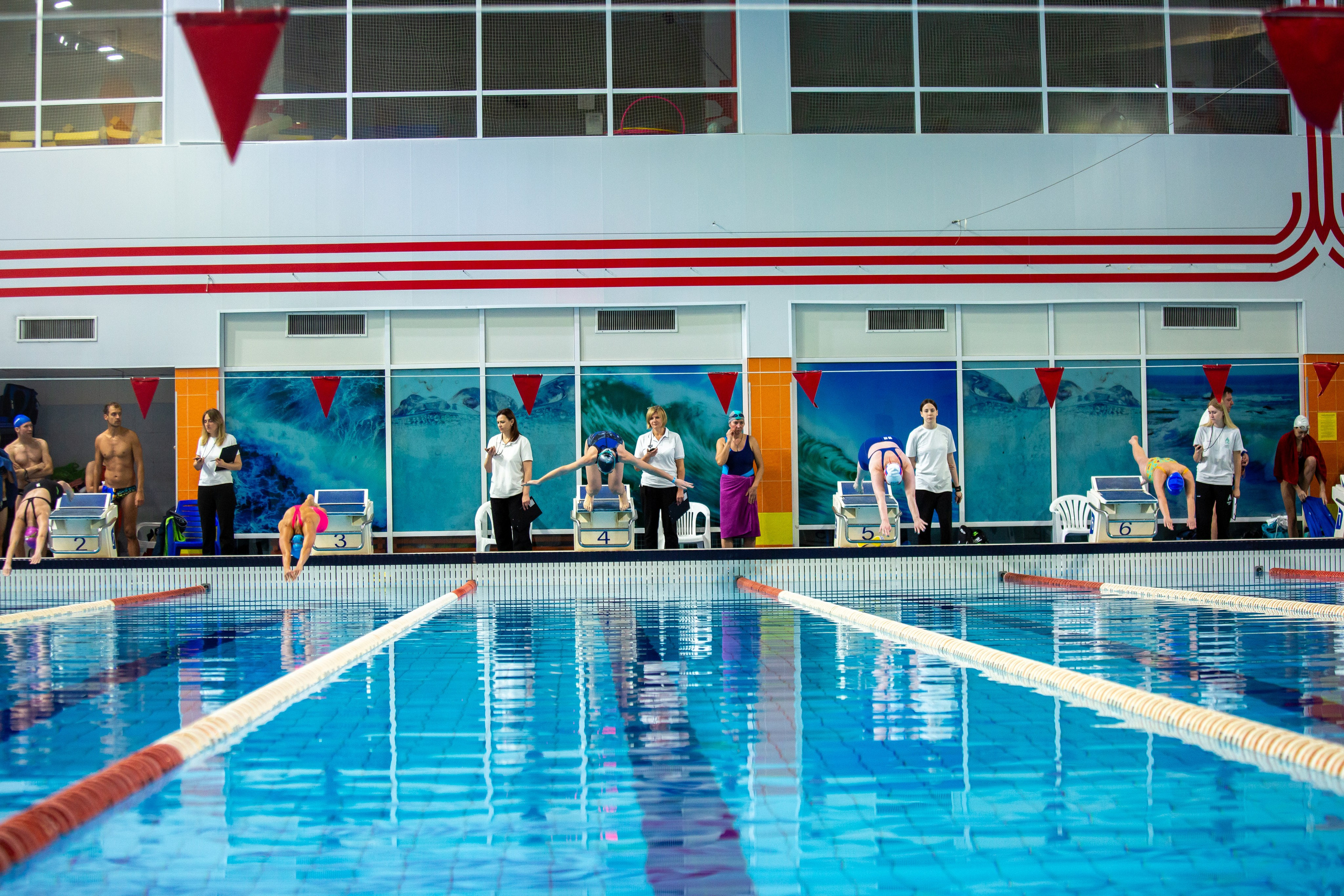 Турнир по плаванию. Репортажный, семейный, свадебный, портретный фотограф