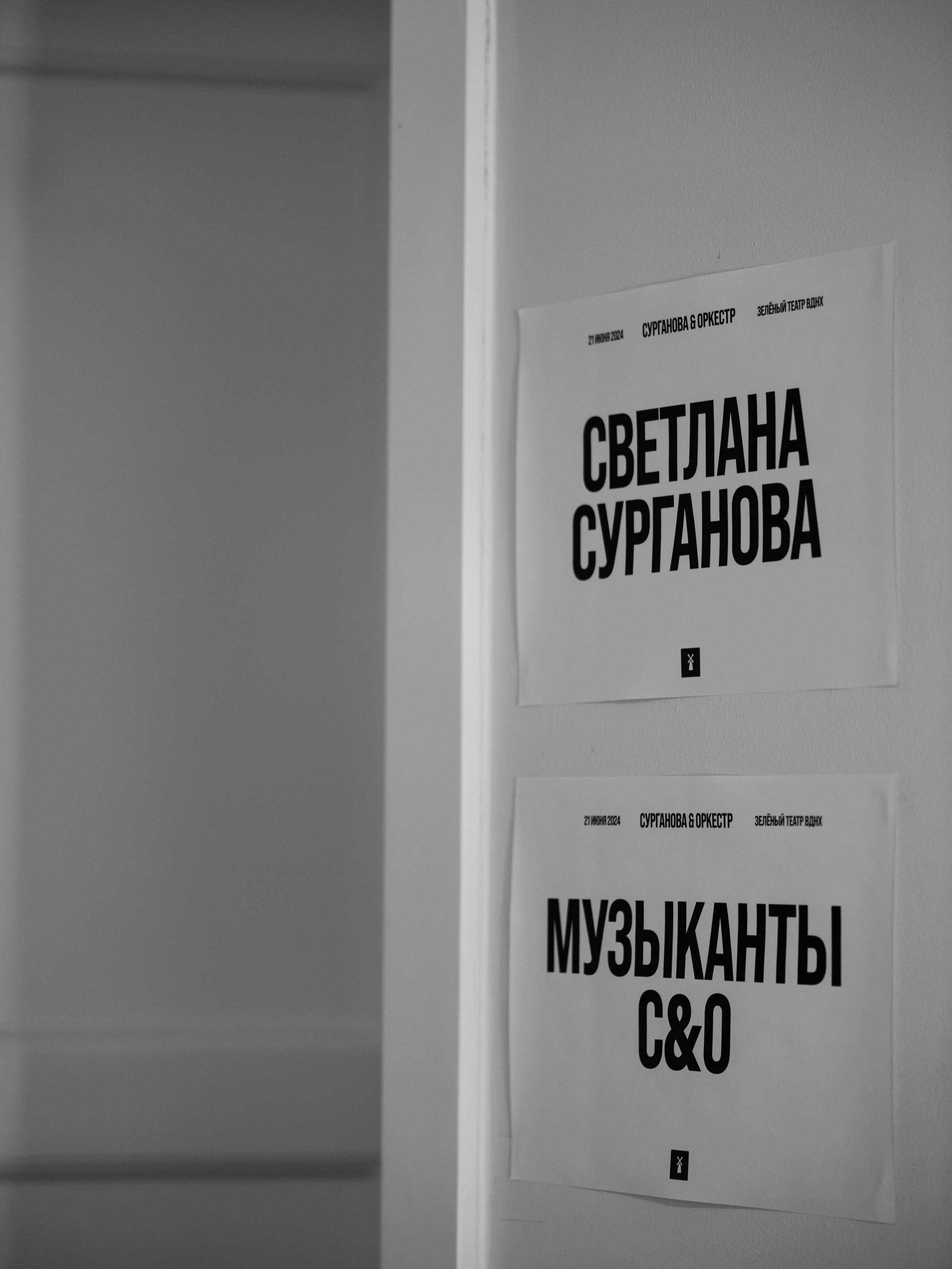 Светлана Сурганова и Оркестр. Зеленый театр, ВДНХ. 21.06.2024. Фотограф в Москве, Оксана Ребристая