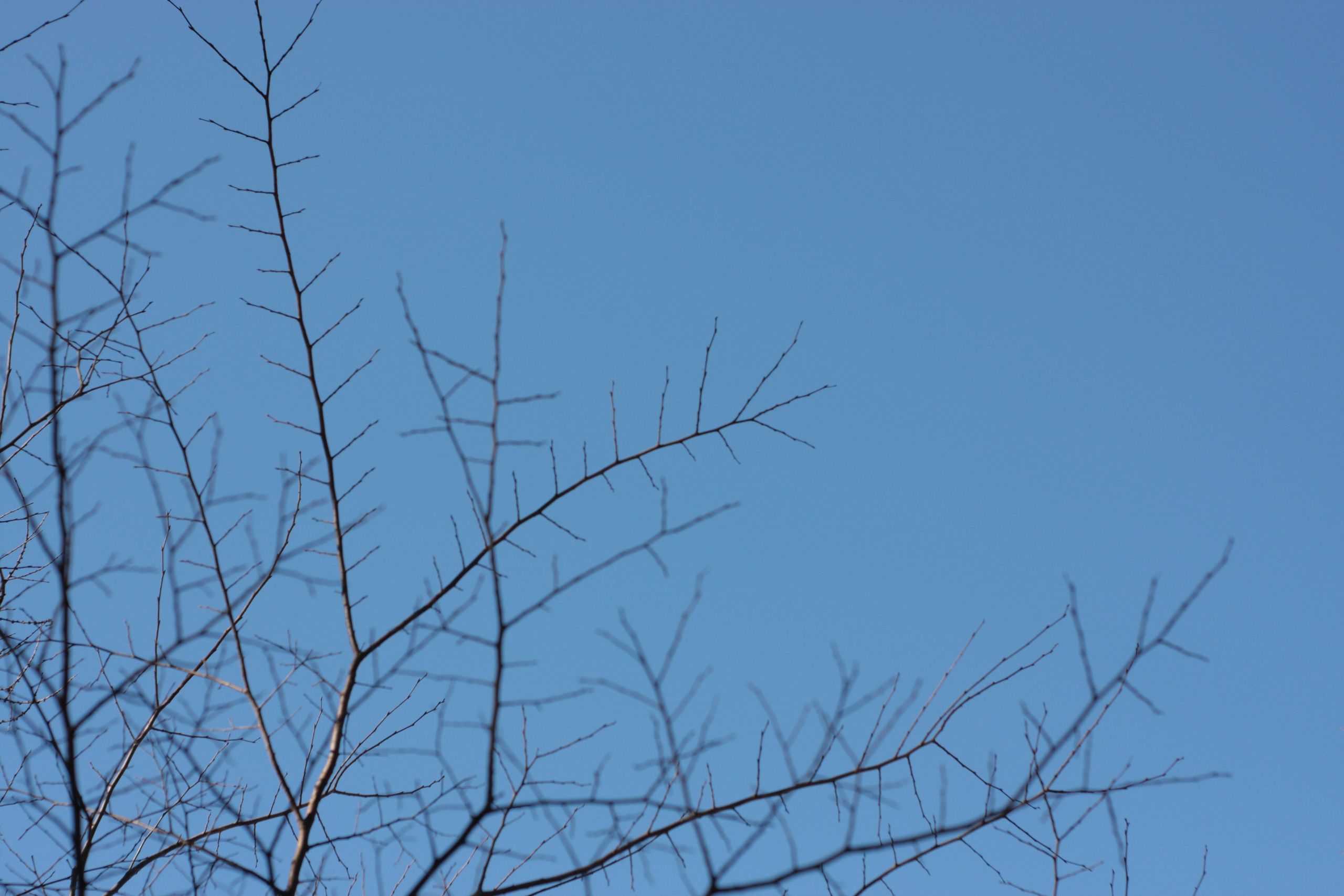 Старое природное, отбирала Katamount (Катерина Горохова). Главная