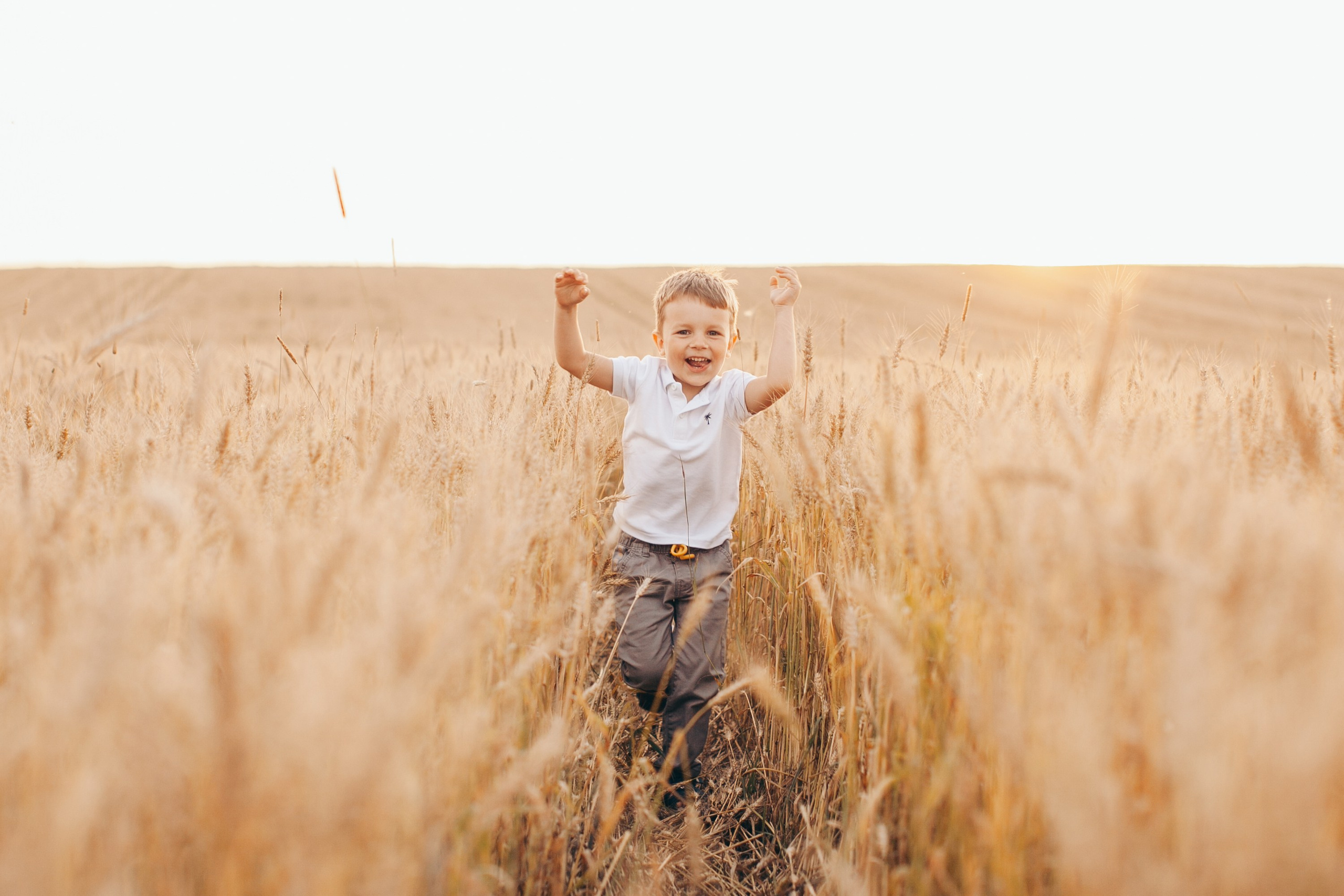 Семейная фотосессия в поле на закате. Фотограф Ольга Ефремова