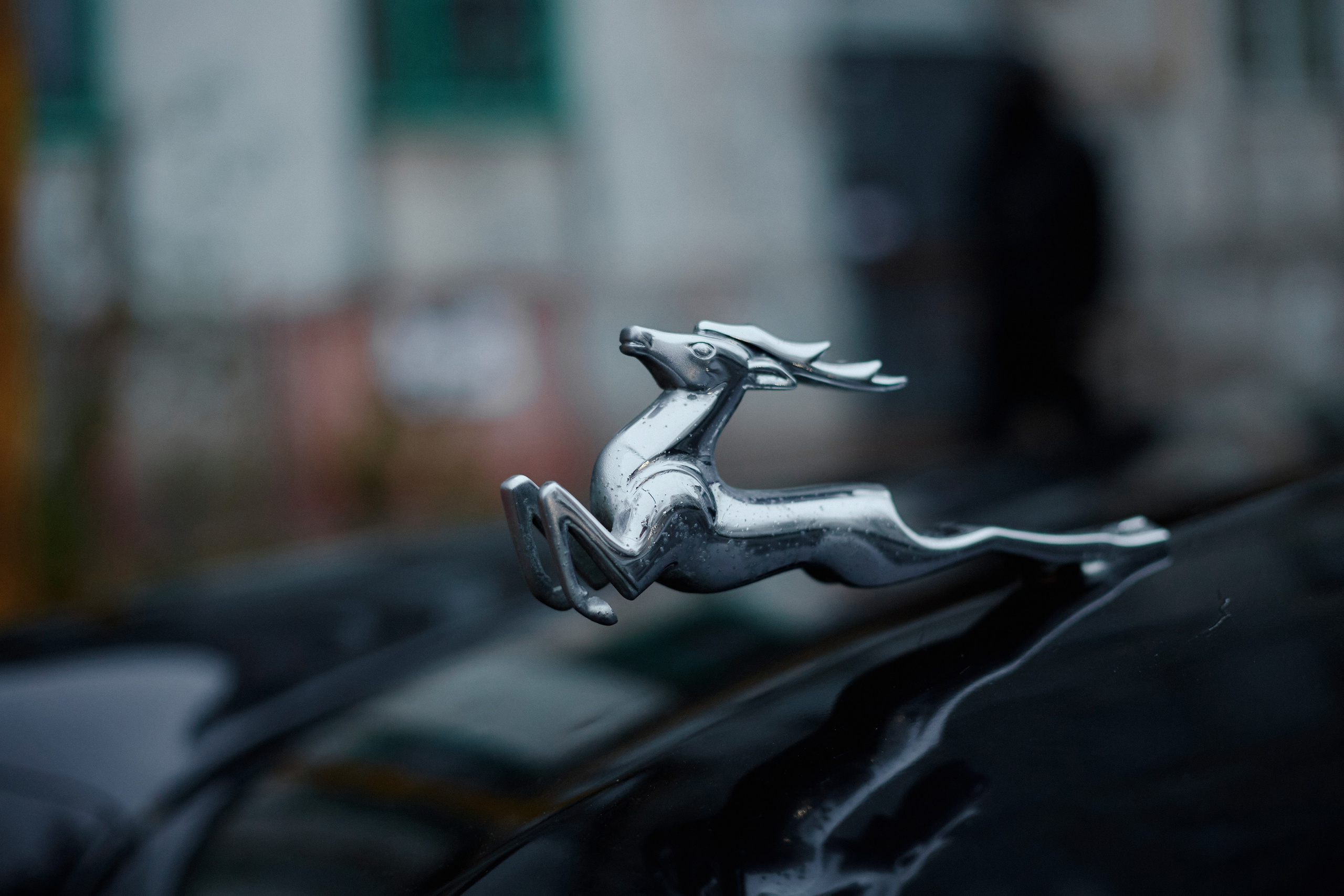 HE.KURILI — Кино. DENISOV ART (фото, видео, дизайн) САМАРА