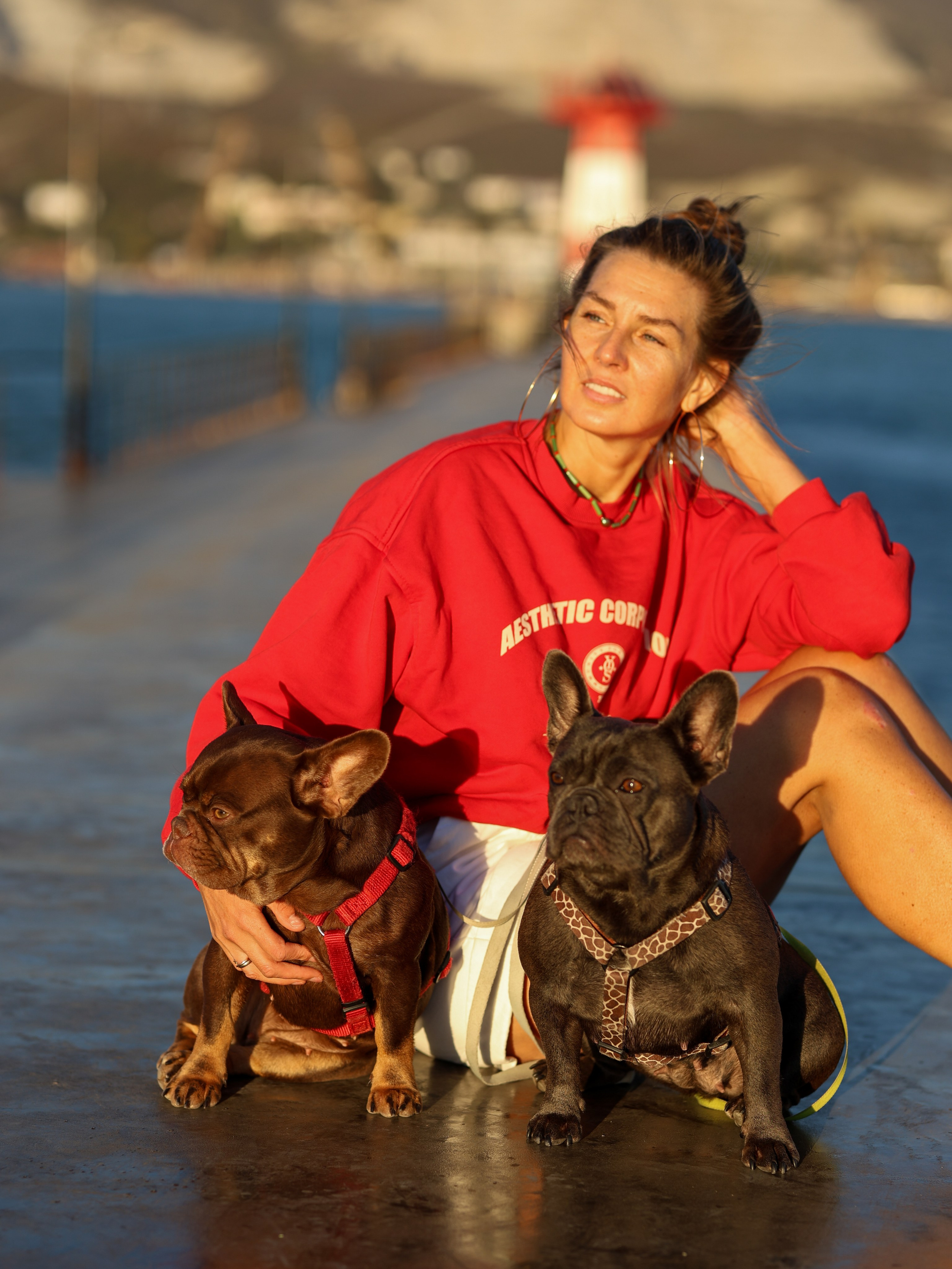 Белла, Луна и Нелли. Фотограф-анималист в Москве Кириллова Татьяна