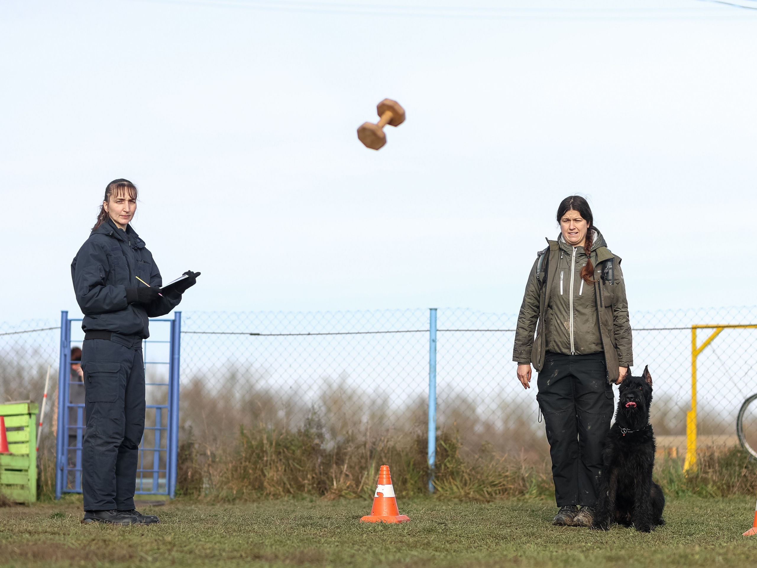 Соревнования BH. Фотограф-анималист в Москве Кириллова Татьяна