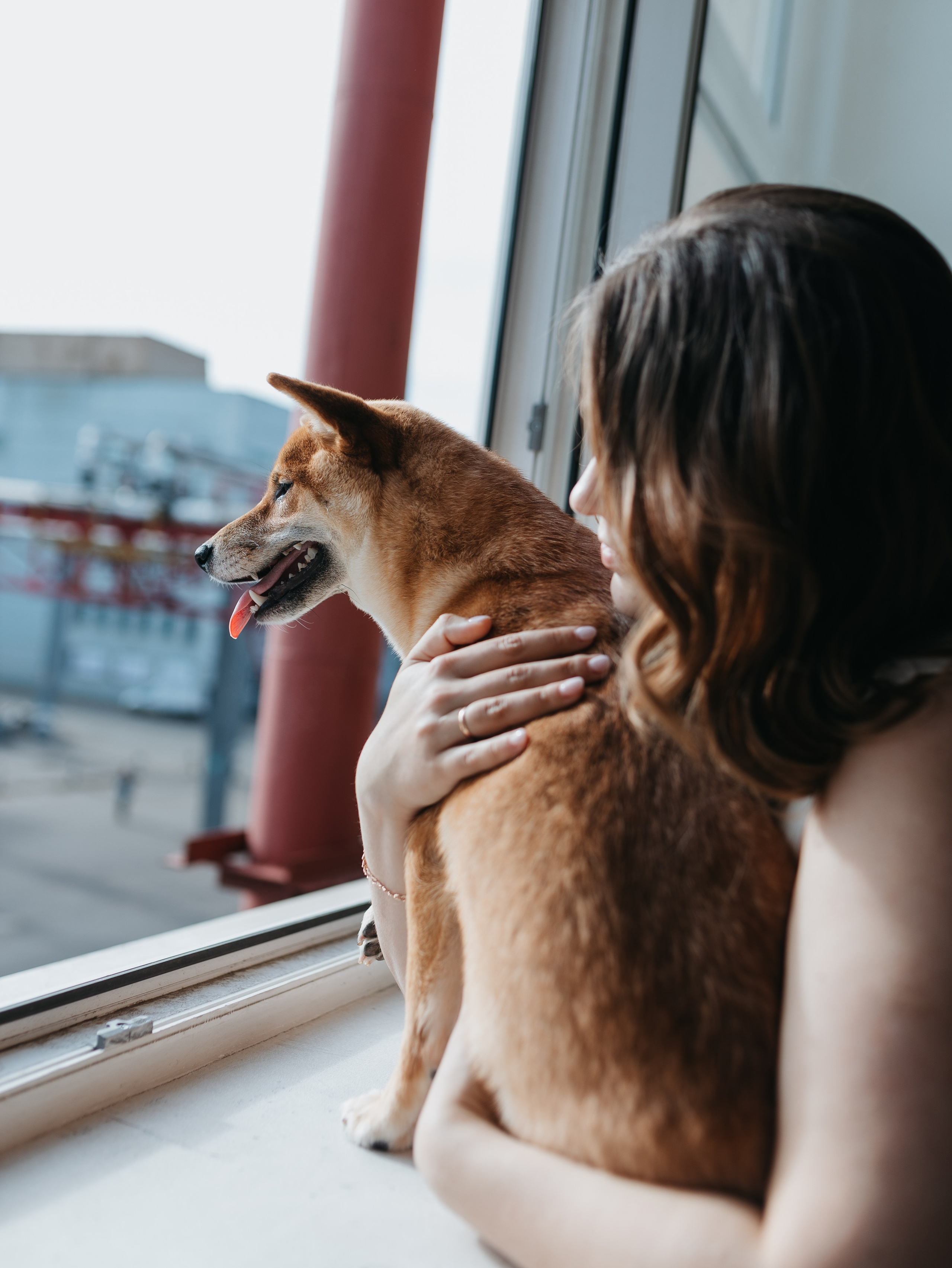 Мика и Настя. Фотограф-анималист в Москве Кириллова Татьяна