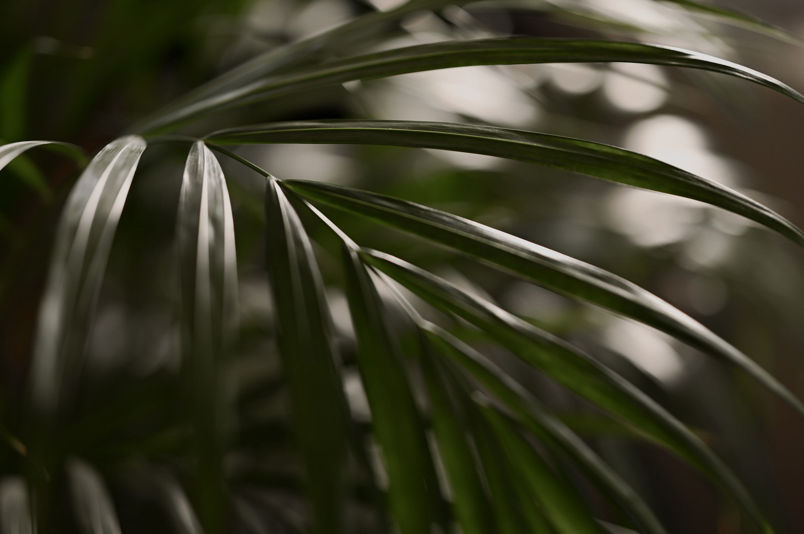 Elena & Ardnie. I AM — PHOTO | VIDEO | PRODUCTION