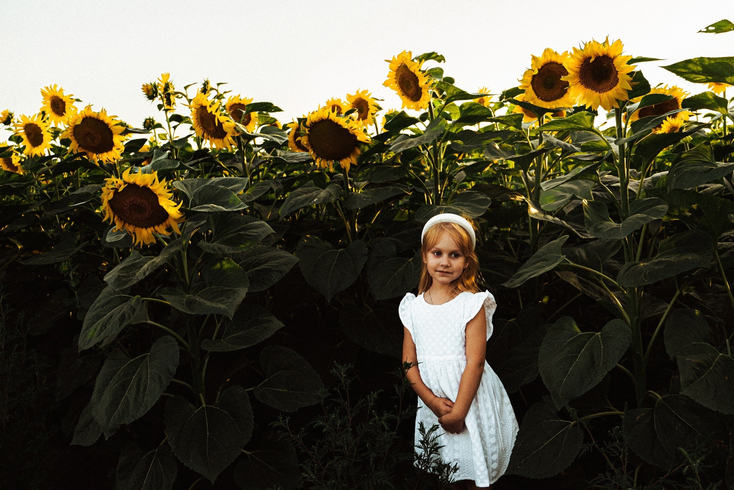Семейная фотосессия с детьми в поле подсолнухов. Фотограф Ессентуки в Ессентуках КМВ Лиза Фефлер
