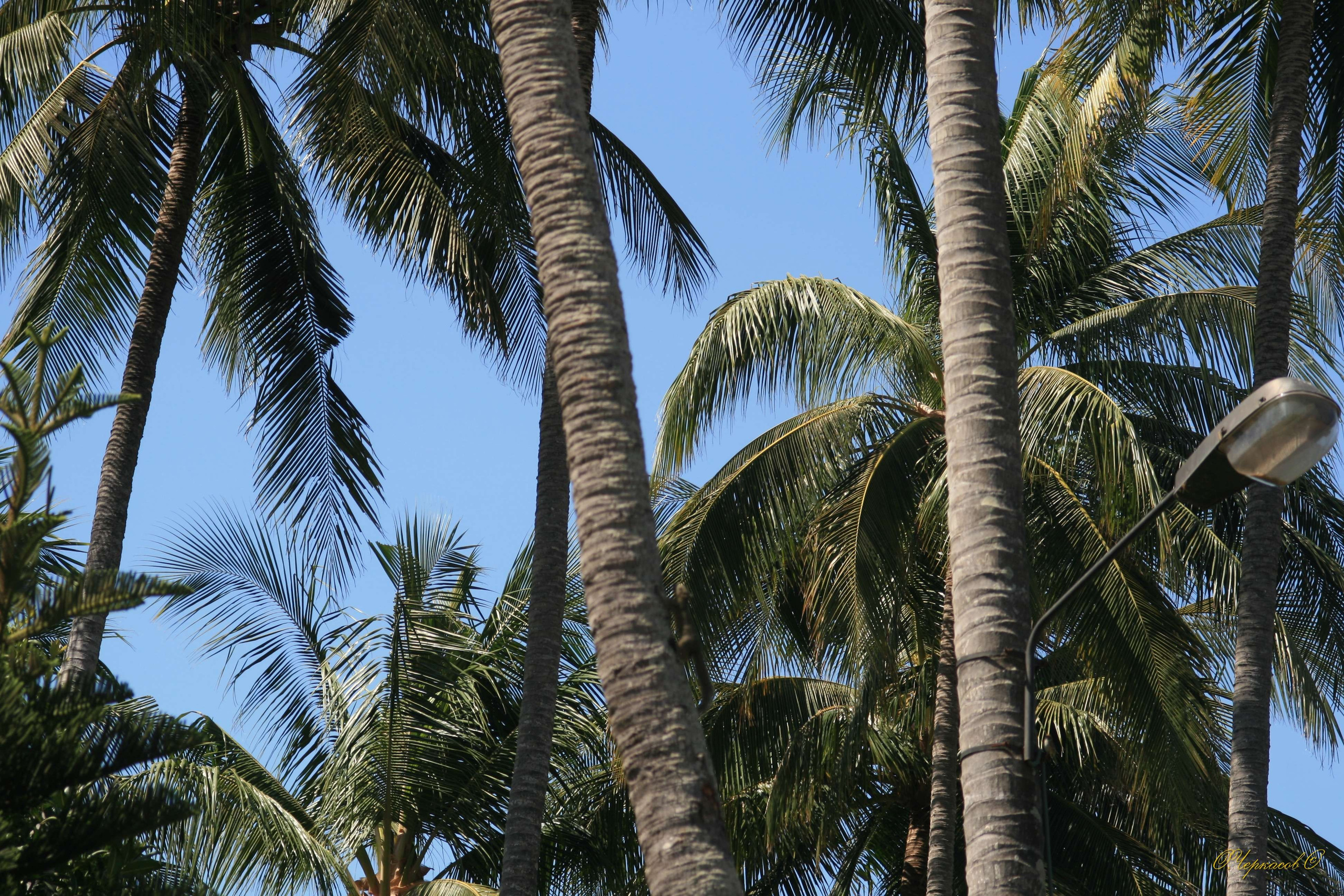 Вьетнам 2008 г. Улица, люди, жизнь…