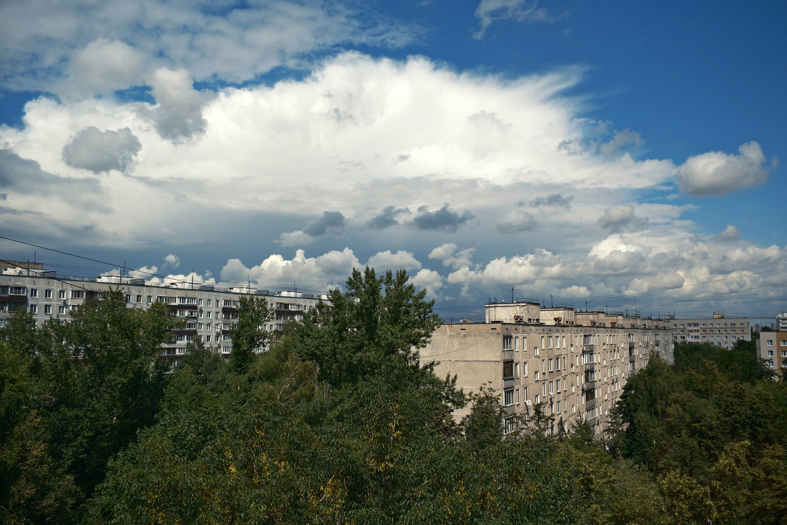 Август 2025. Улица, люди, жизнь…