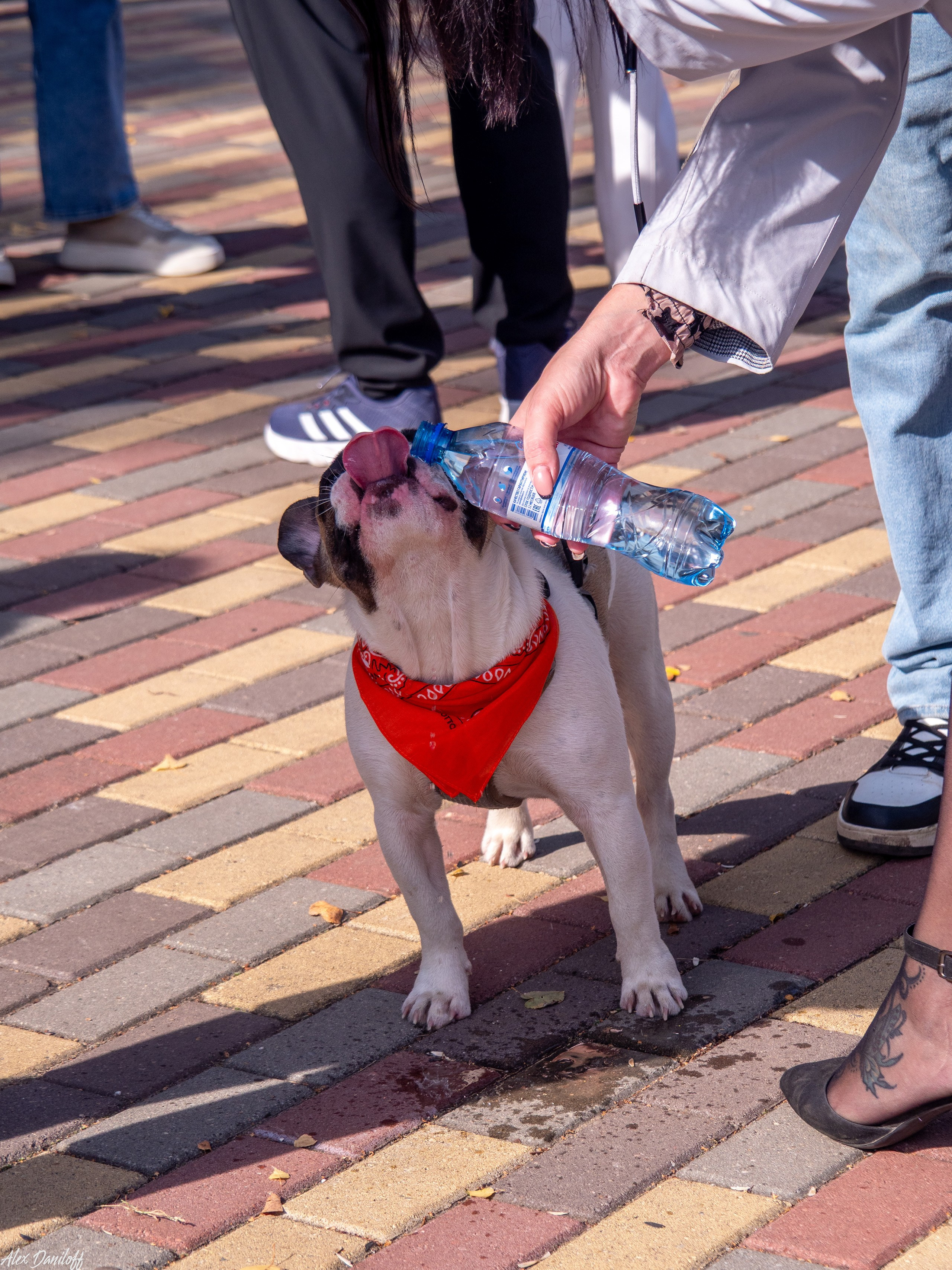 Обнимака 2025. Муром-Инфо. Новости культуры, образования, спорта в городе Муром