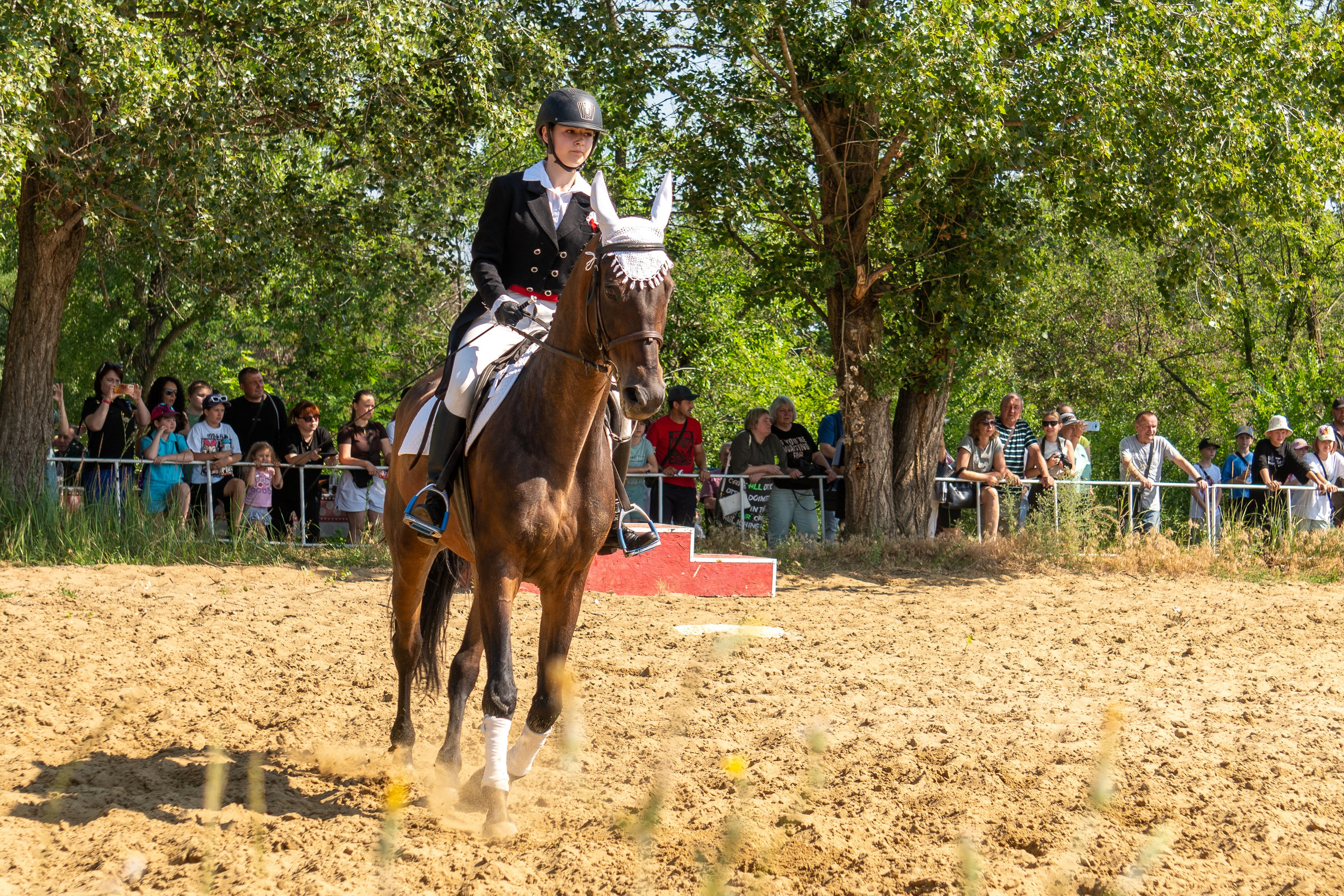 Соревнования по конкуру, Луганск. Фотограф в РФ и ЛНР Юлия Федосеева