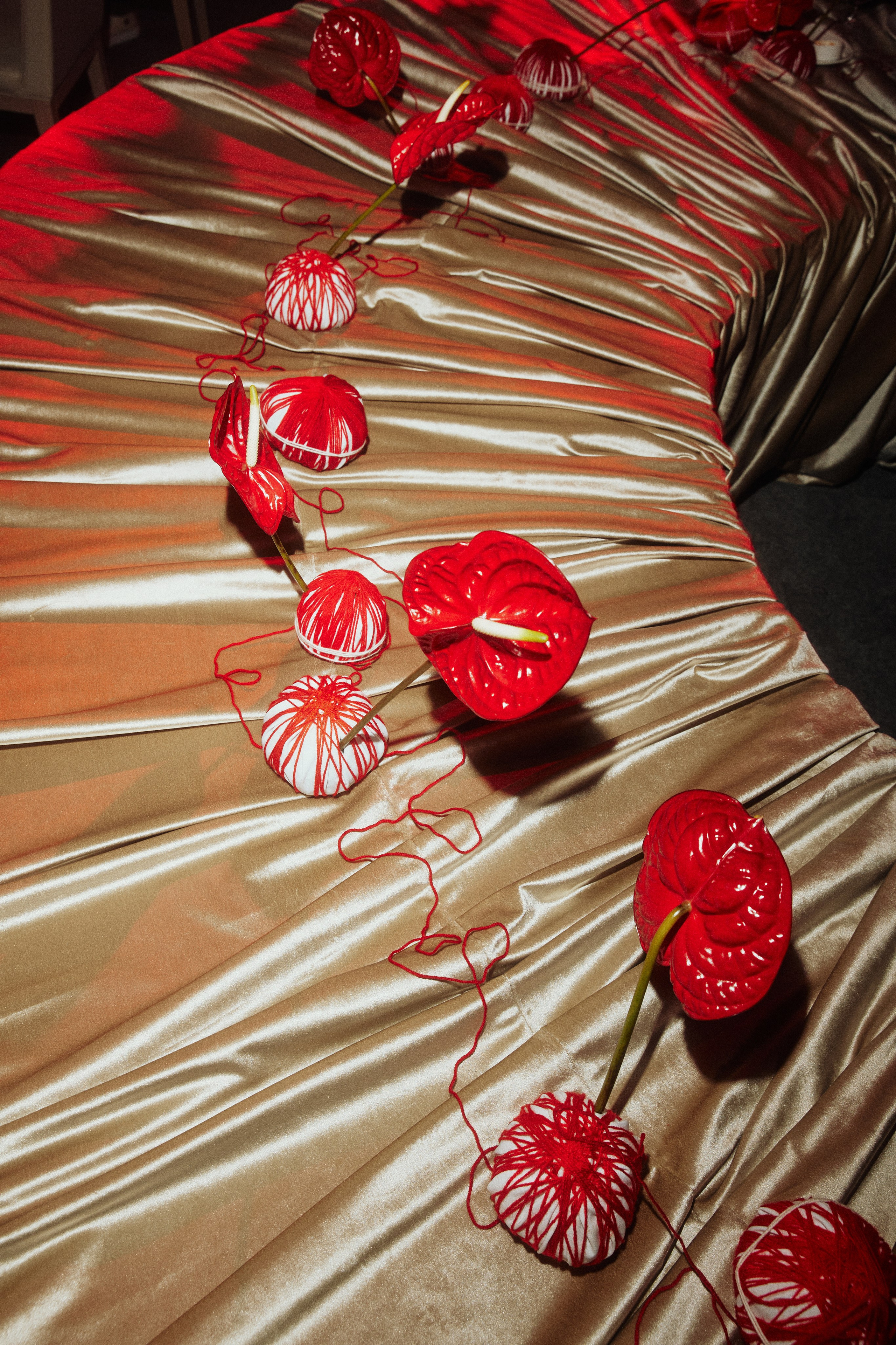 RED LINES. Дмитрий Мазуркевич: Профессиональный Репортажный Фотограф