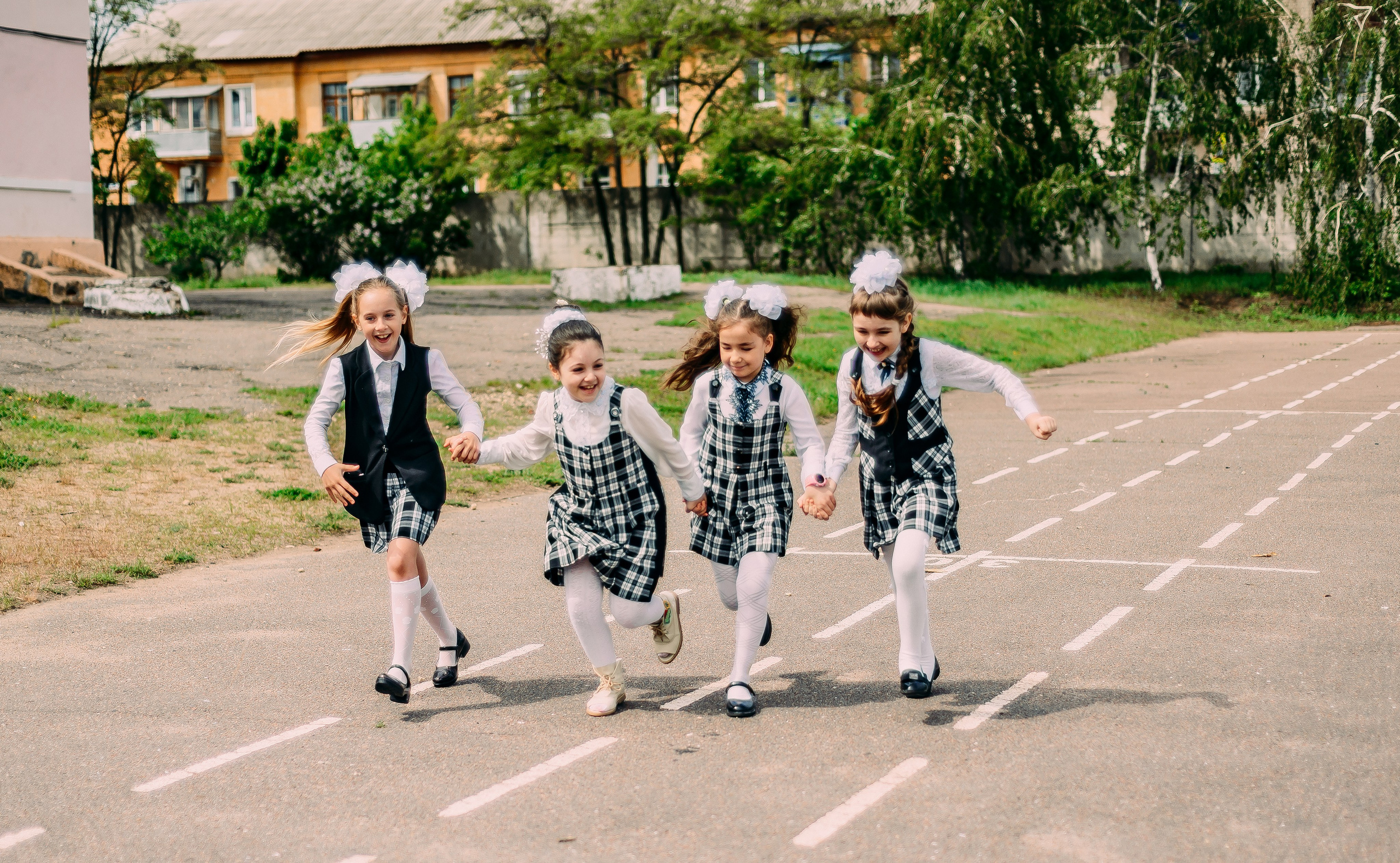 2 «А» | Школа № 17| г. Лиски |2022. ALBUMIA