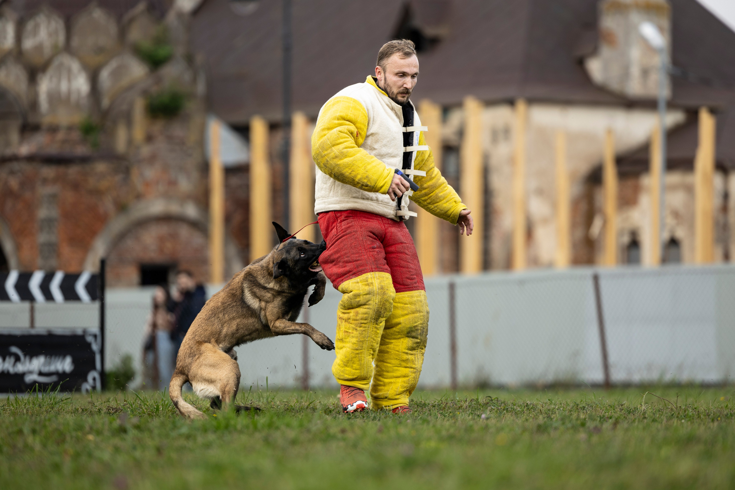 Испытания по Мондьорингу г. Пушкин. Фотограф-анималист Анна Маринич