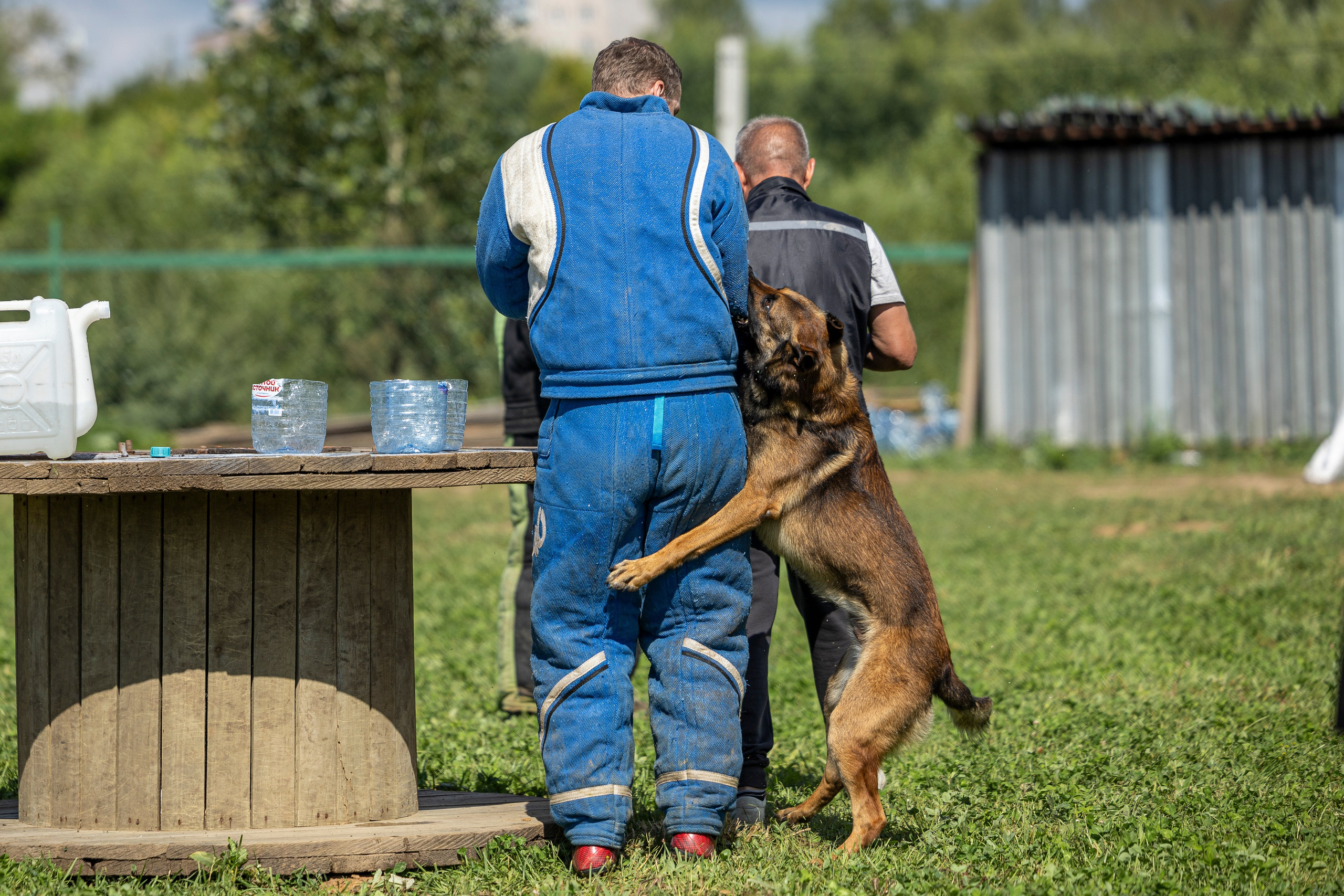 Соревнования по Мондьорингу г. Вологда 10-11.08.2024. Фотограф-анималист Анна Маринич