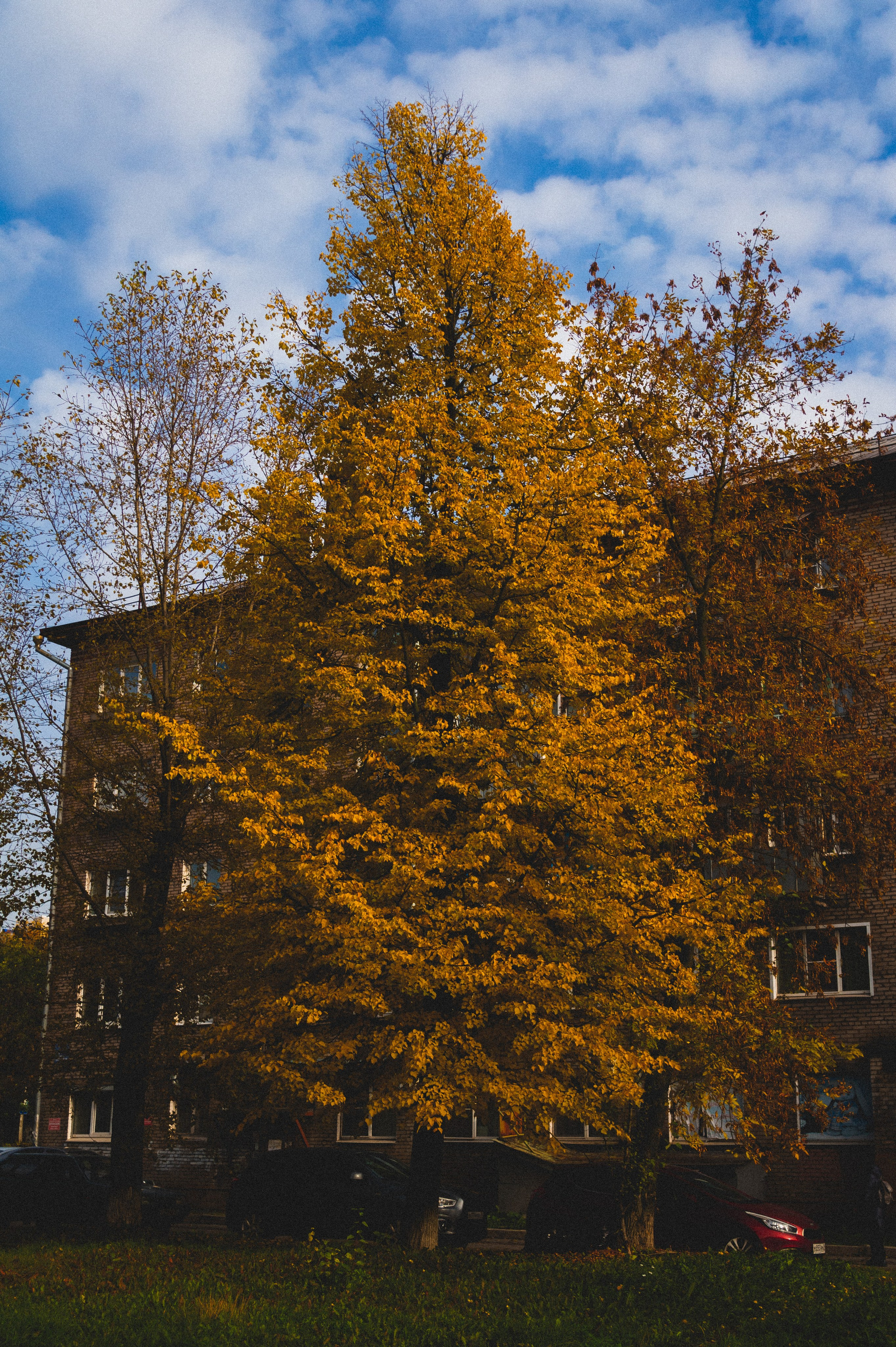 Октябрь 2025. Den Mirov — Фотограф, Музыкант