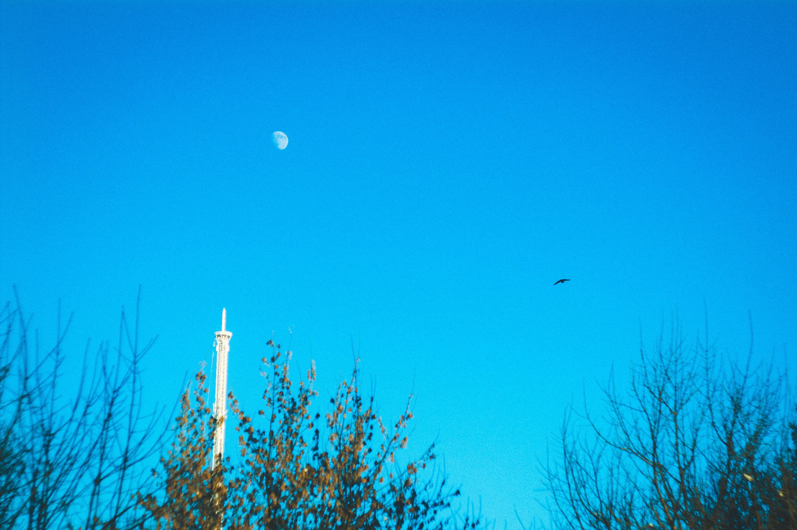 Замкнутые люди. Den Mirov — Фотограф, Музыкант