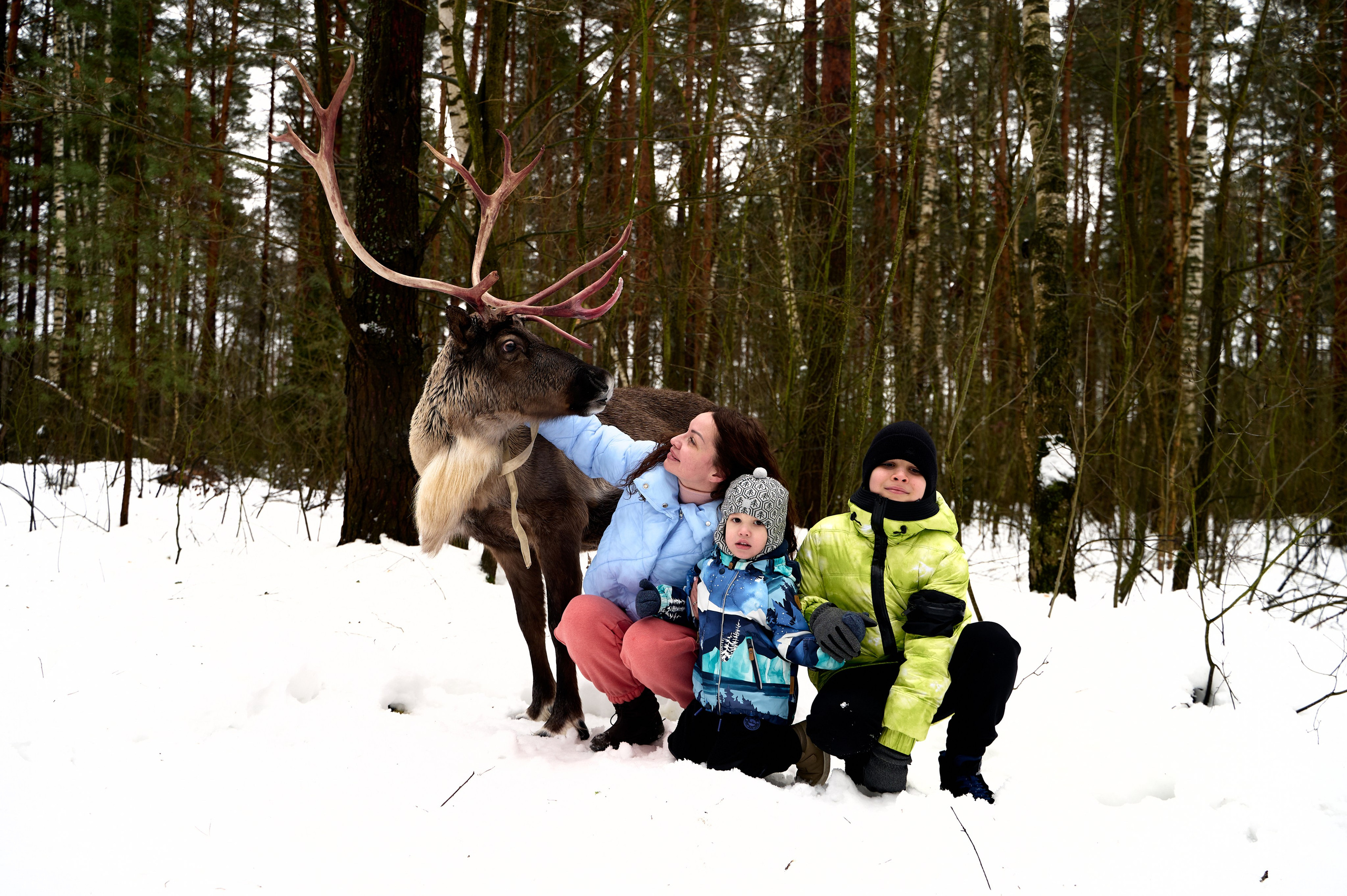 2023.12.30 Ирина Богдан Адам. Фотограф Егорьевск Коломна Воскресенск