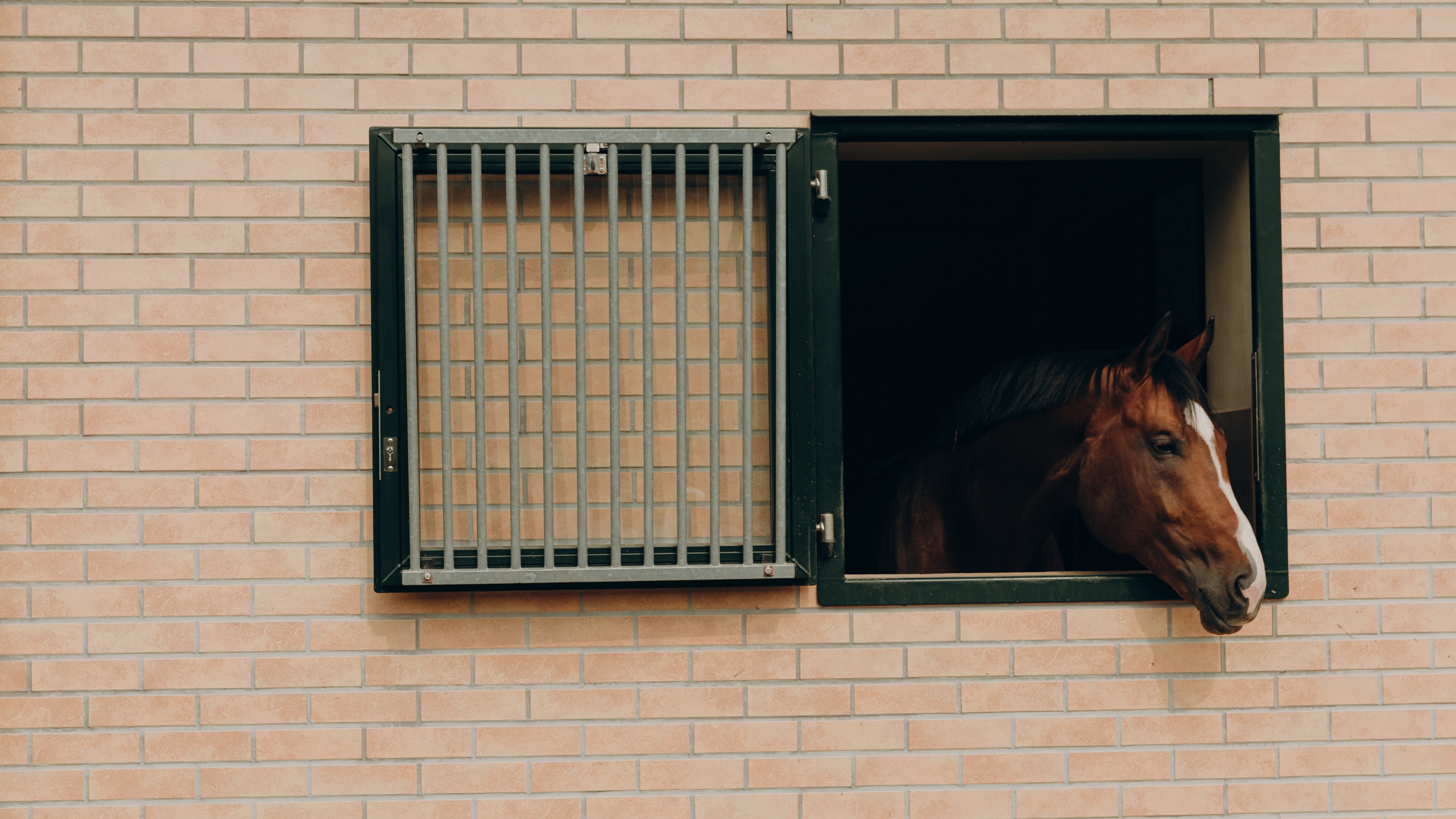 Nikita&Katya. Свадебный фотограф в Санкт-Петербурге и Москве Андрей Чернов