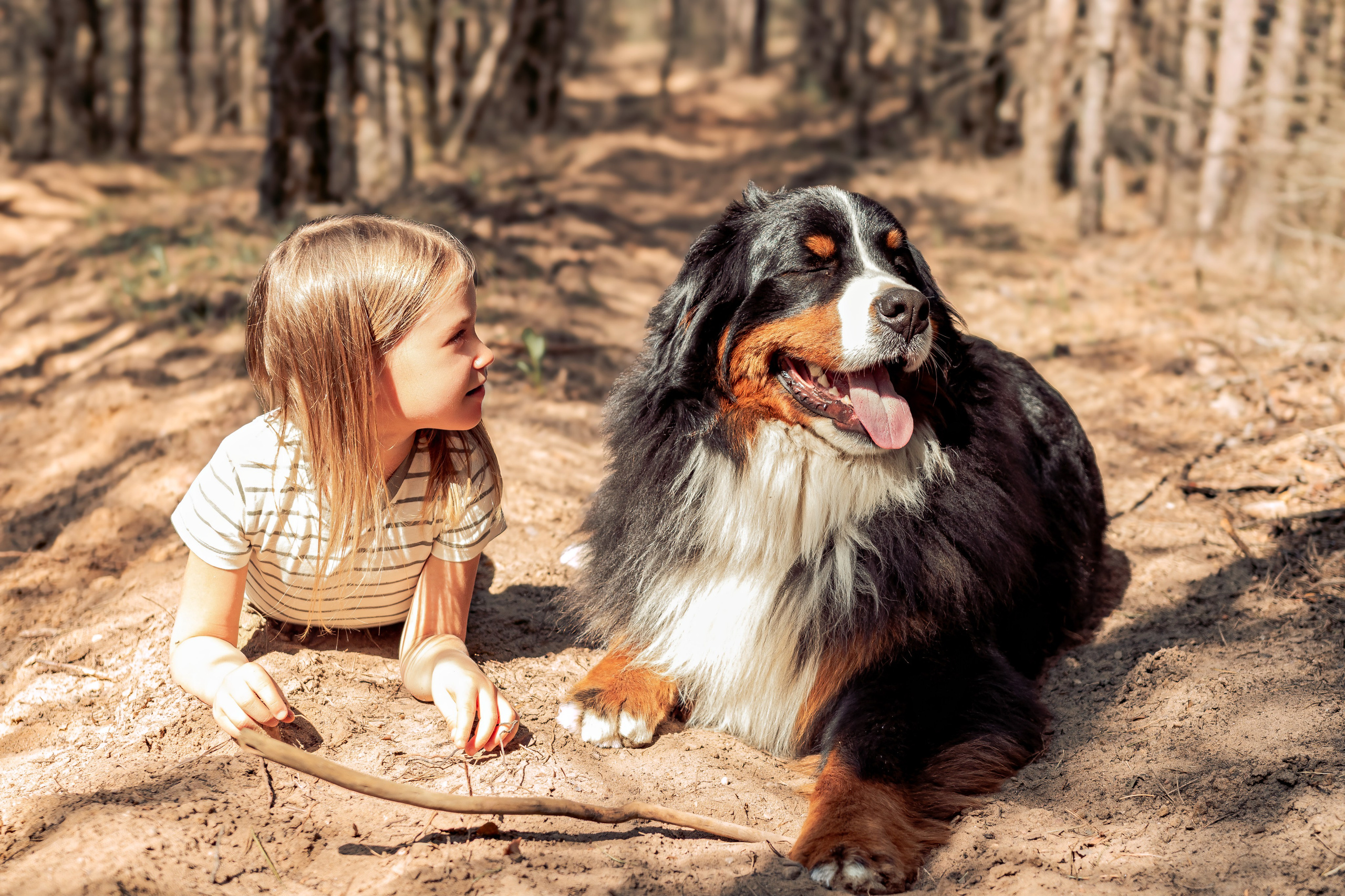 Семейная фотосессия за городом, в лесу , прогулка