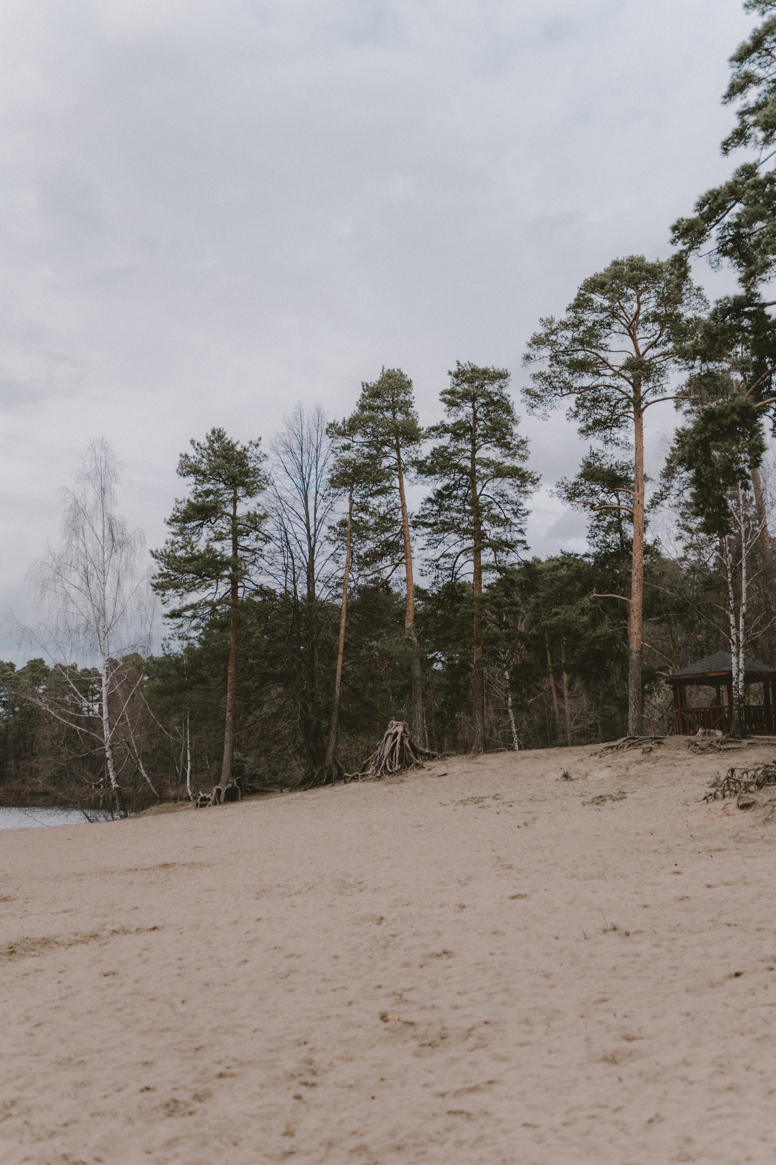 Саша. Фотограф Екатерина Катунова | Москва