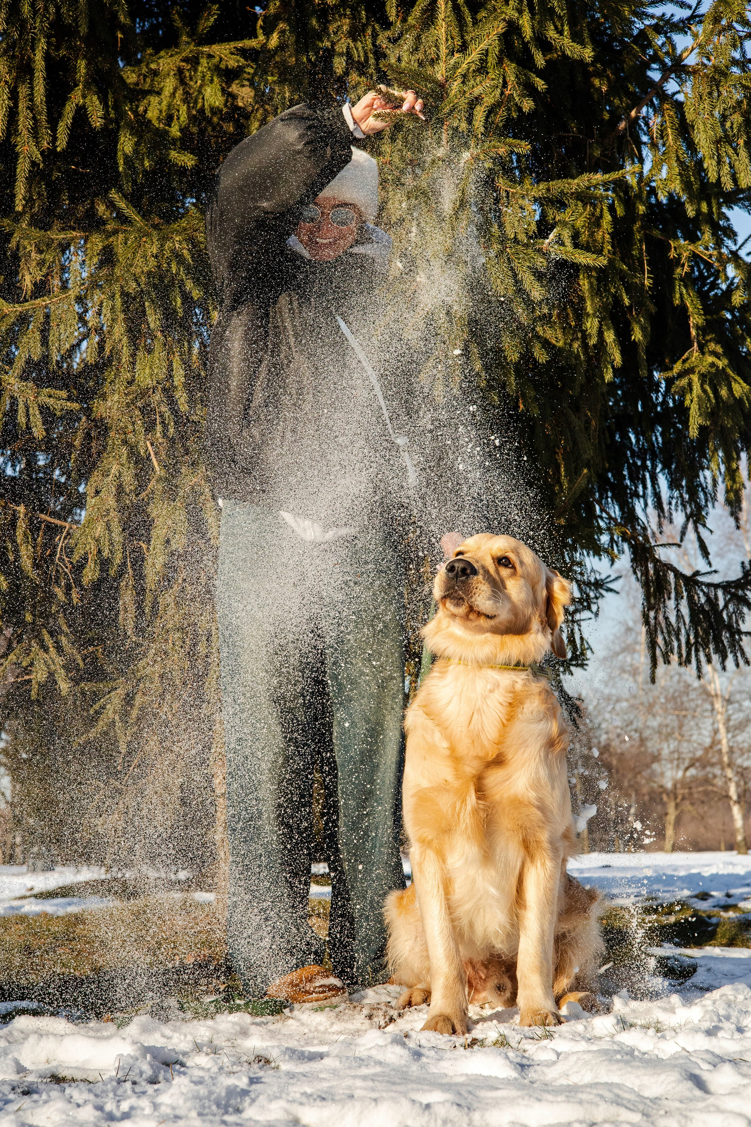 Ларри и его семья. Фотограф-анималист Ксения Шевцова|Москва